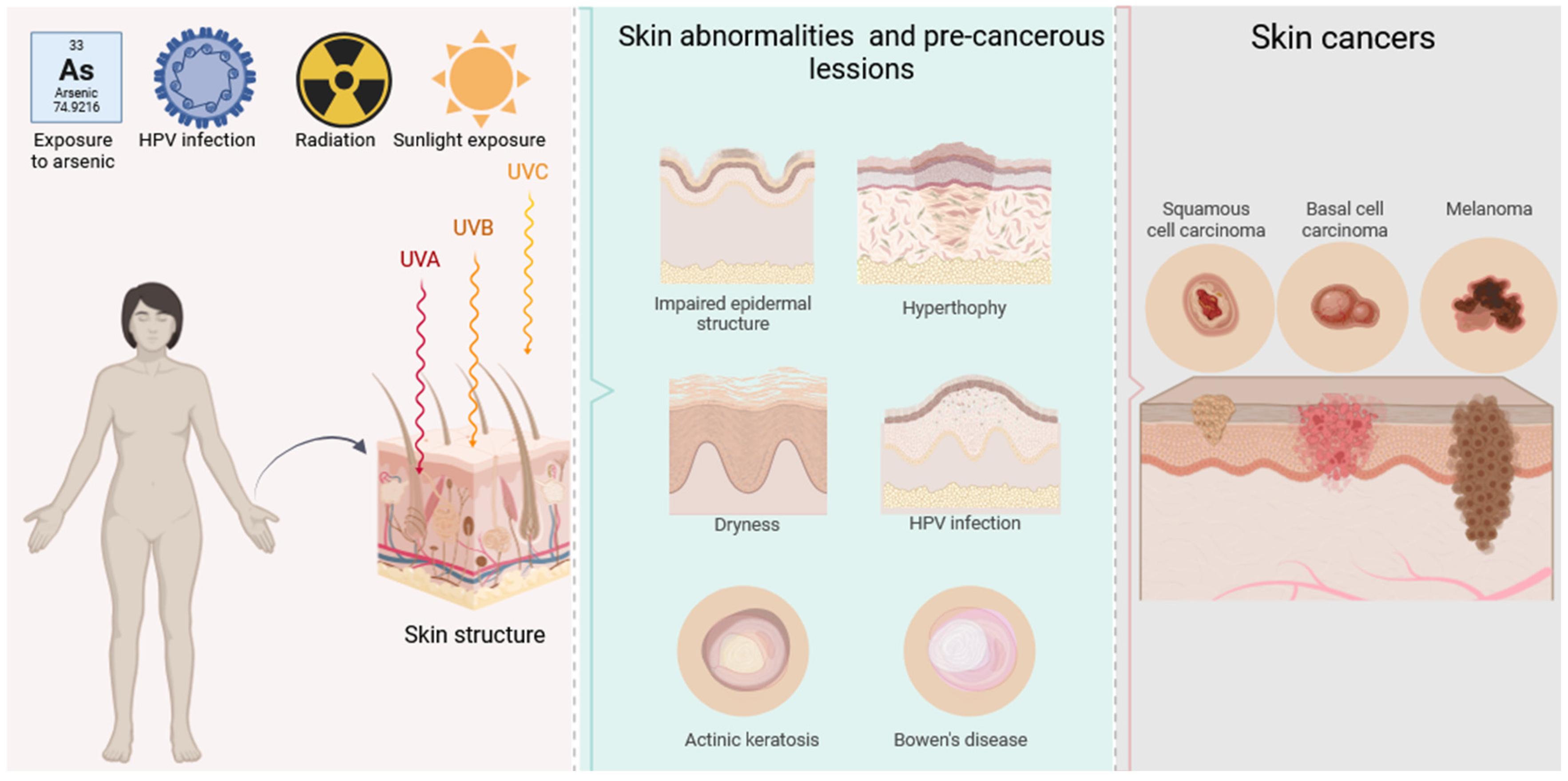 Pharmaceutics 17 01009 g001 Pharmaceutics 17 01009 g001