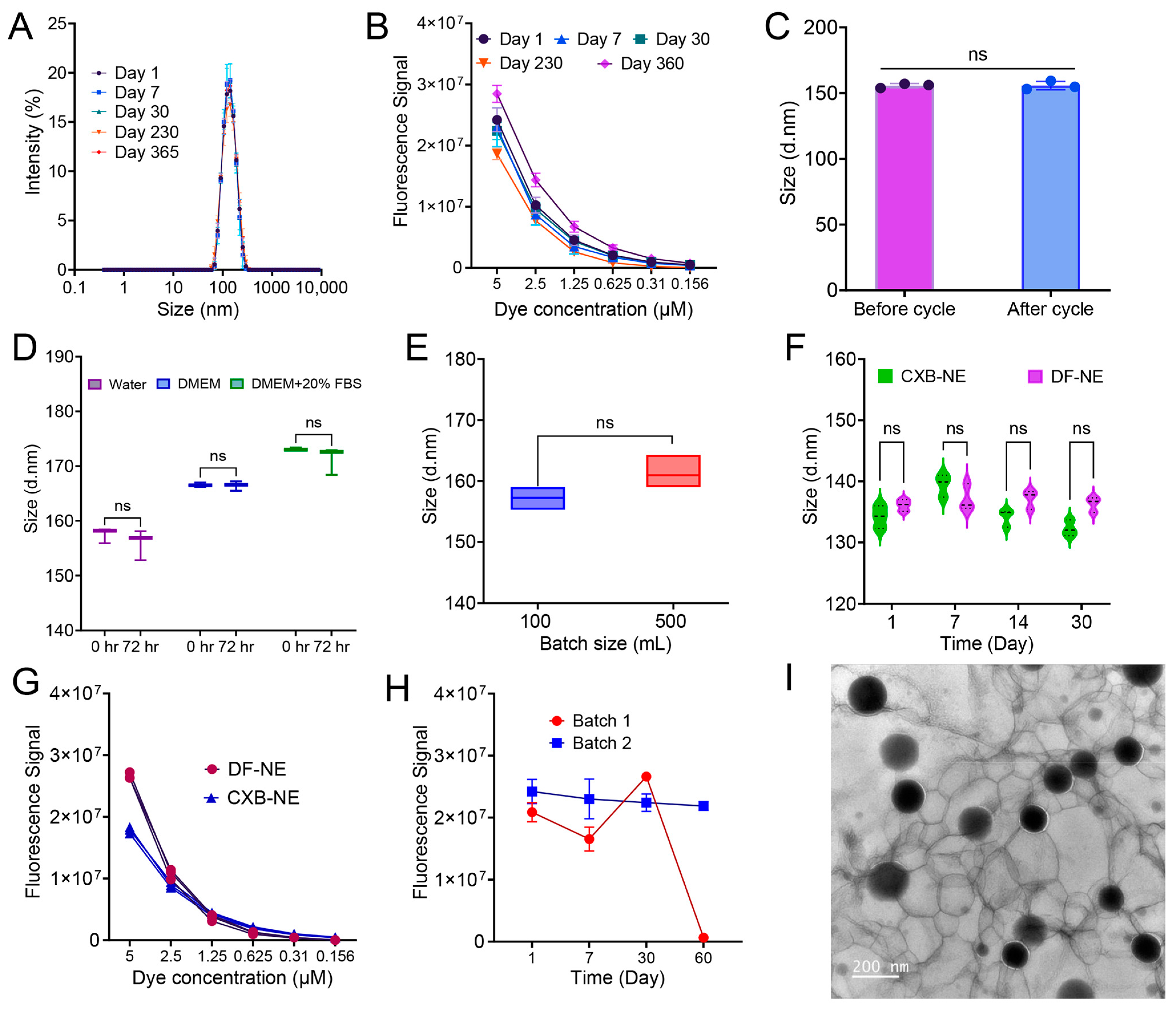 Pharmaceutics 17 01010 g006 Pharmaceutics 17 01010 g006
