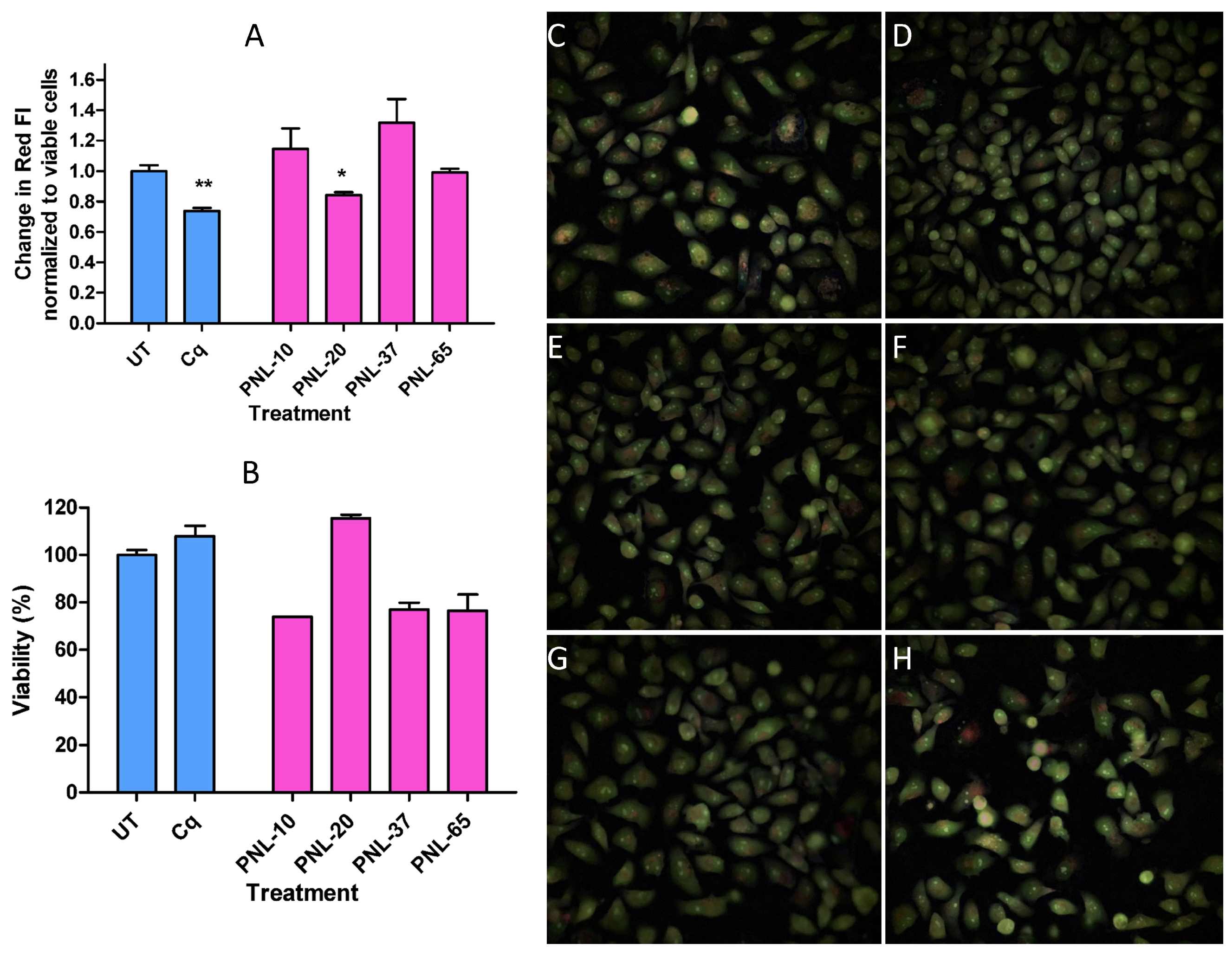 Pharmaceutics 17 01012 g007