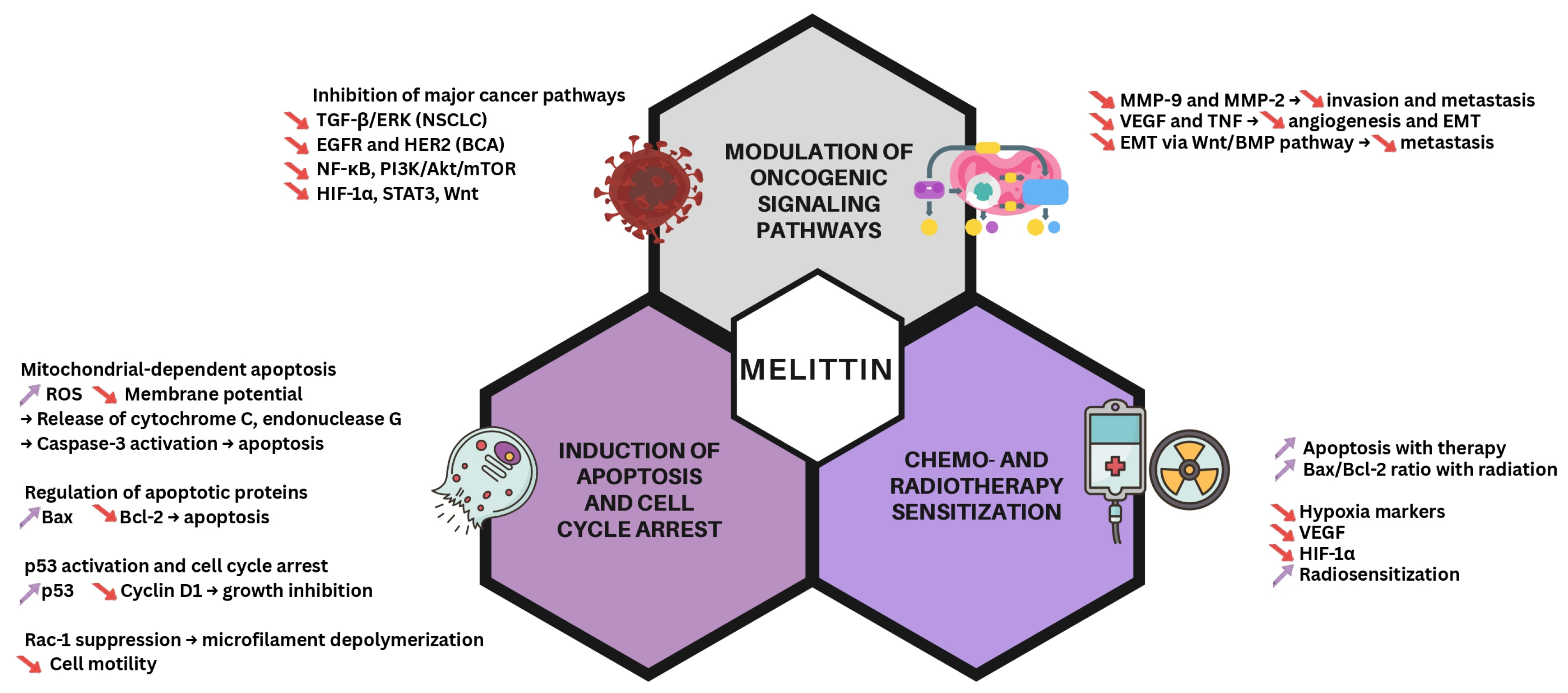 Pharmaceutics 17 01019 g002
