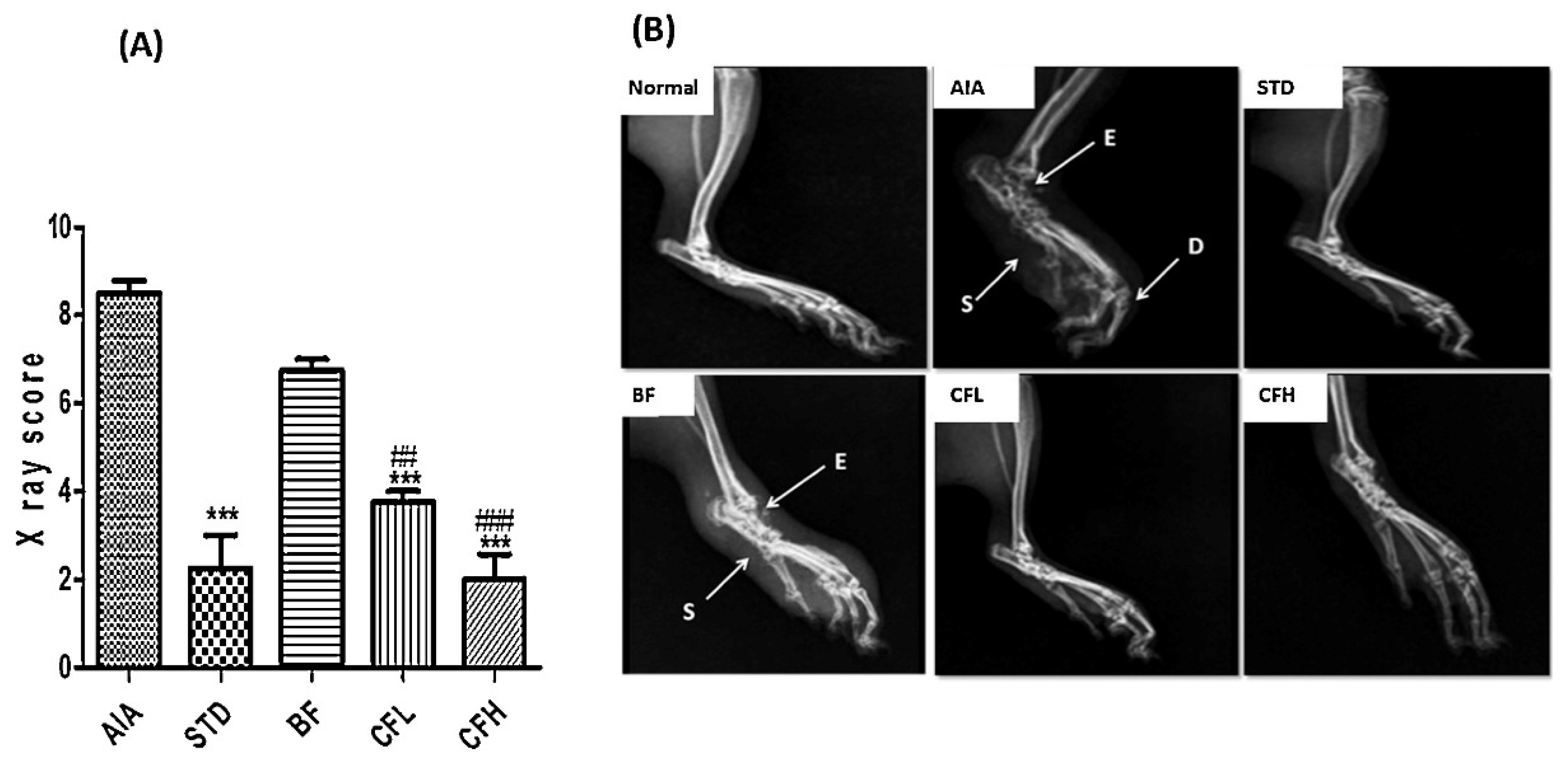 Pharmaceutics 17 01022 g006