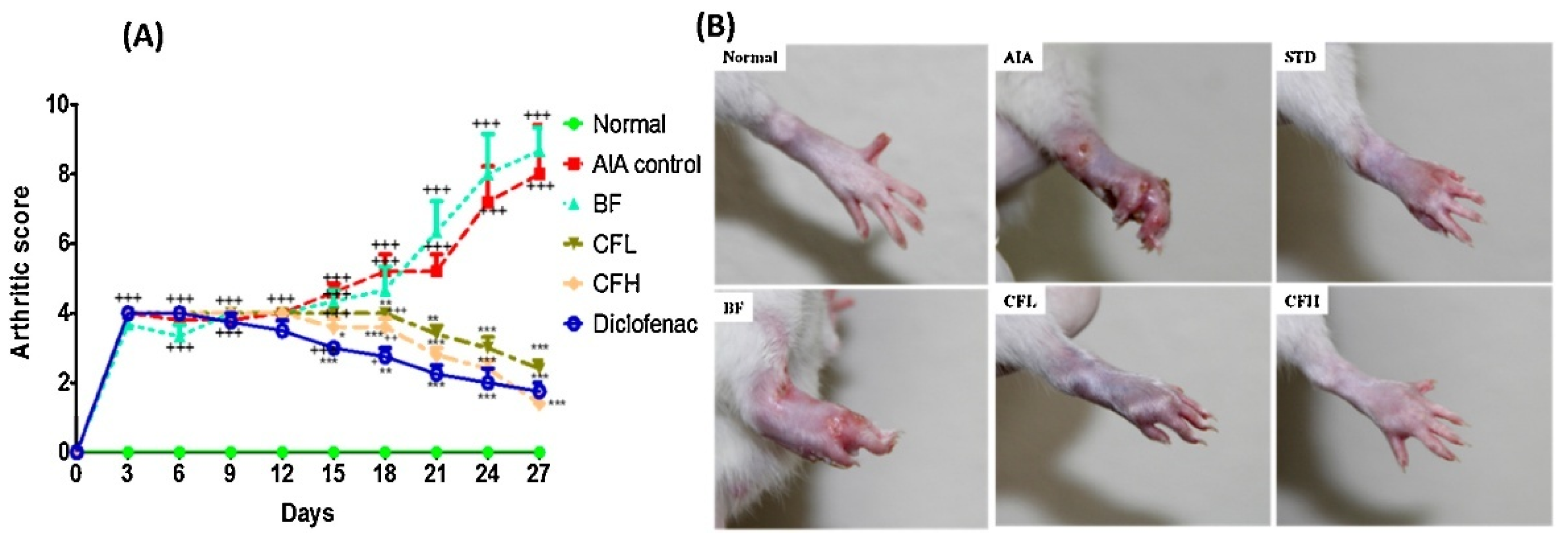 Pharmaceutics 17 01022 g007