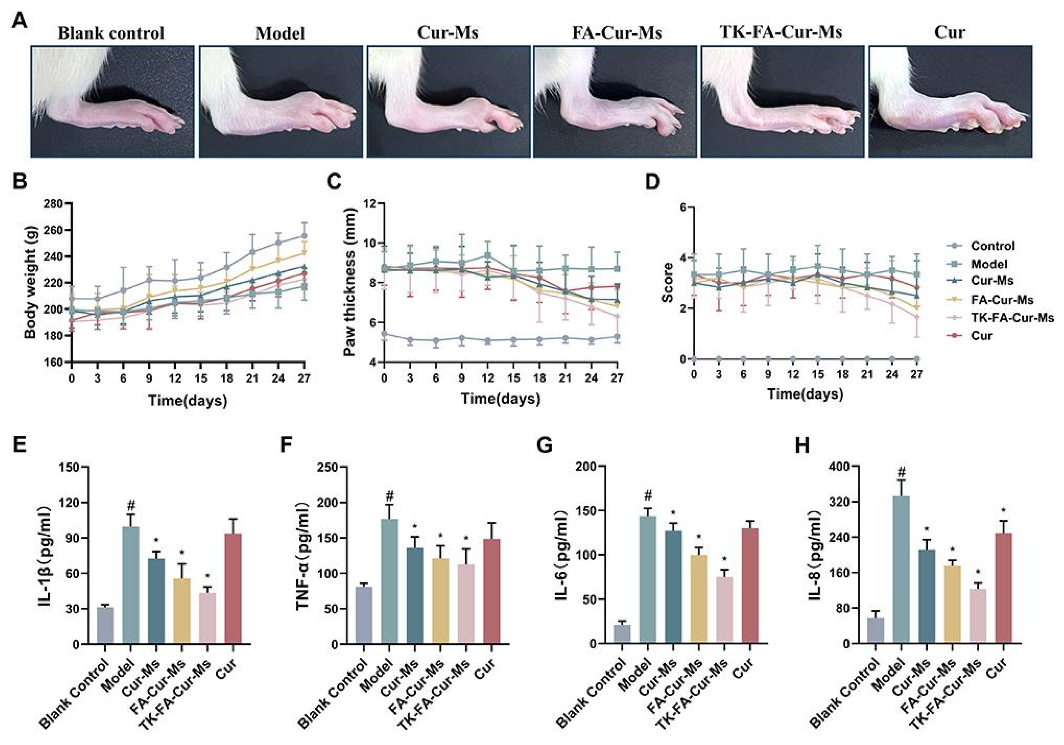 Pharmaceutics 17 01022 g008