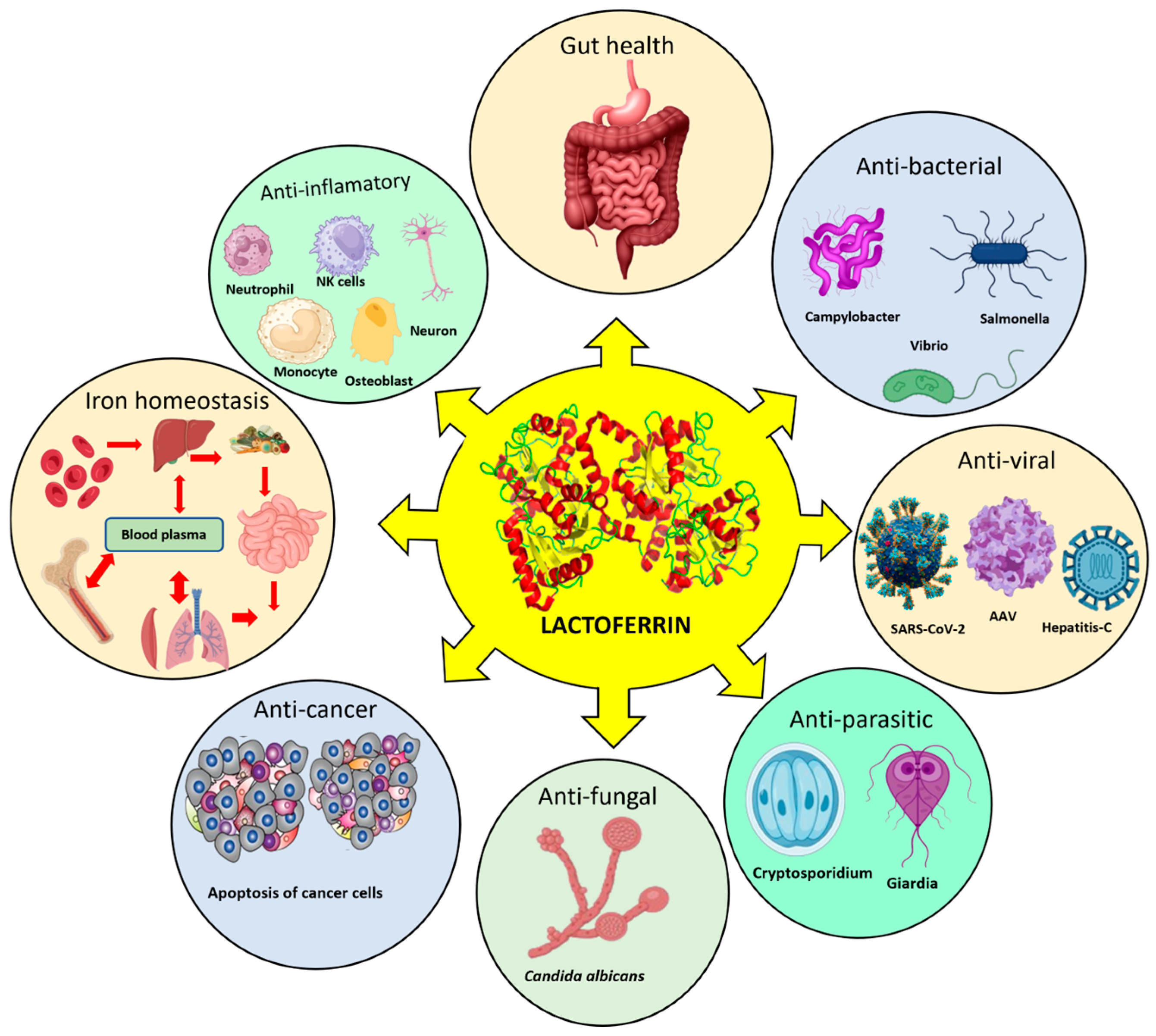 Pharmaceutics 17 01023 g002