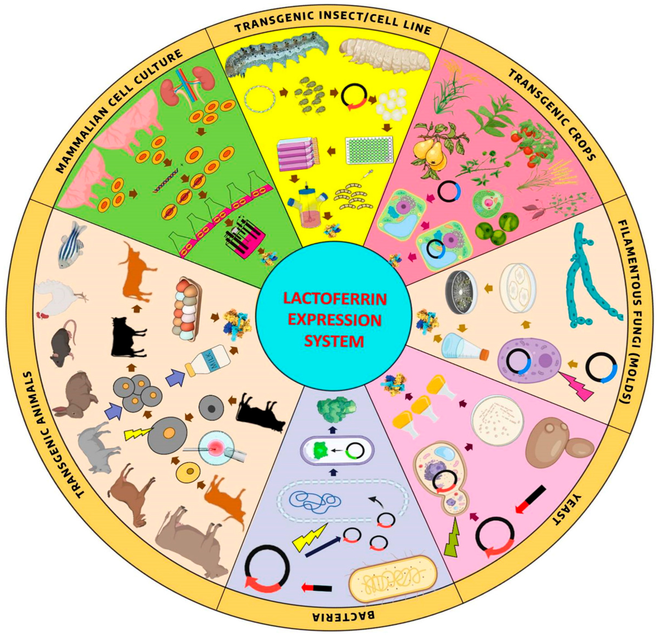Pharmaceutics 17 01023 g003