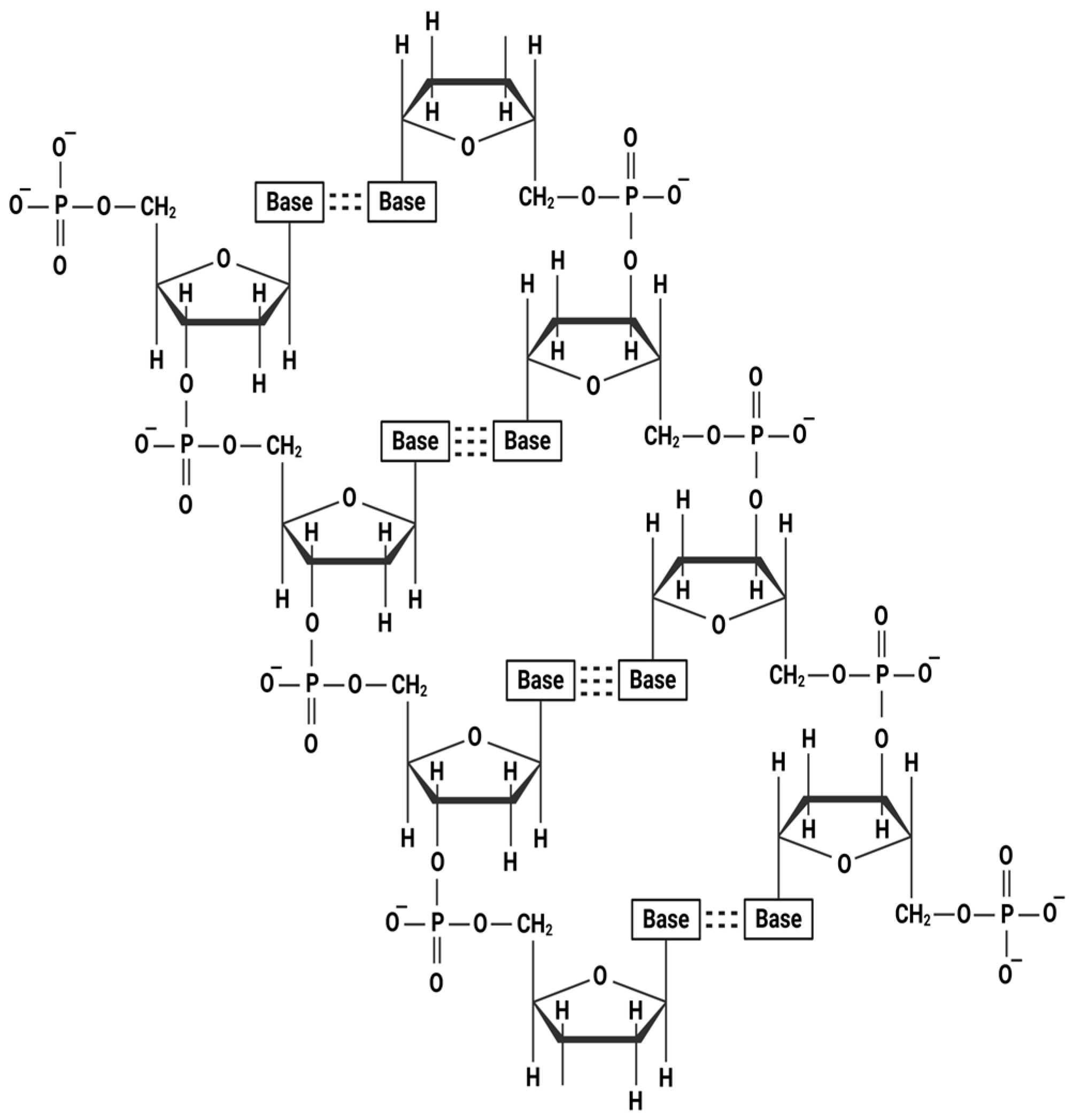 Pharmaceutics 17 01024 g001 Pharmaceutics 17 01024 g001