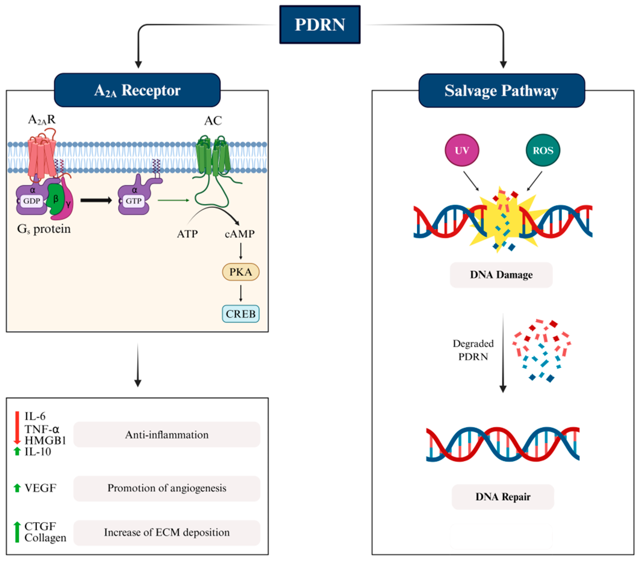 Pharmaceutics 17 01024 g002 Pharmaceutics 17 01024 g002