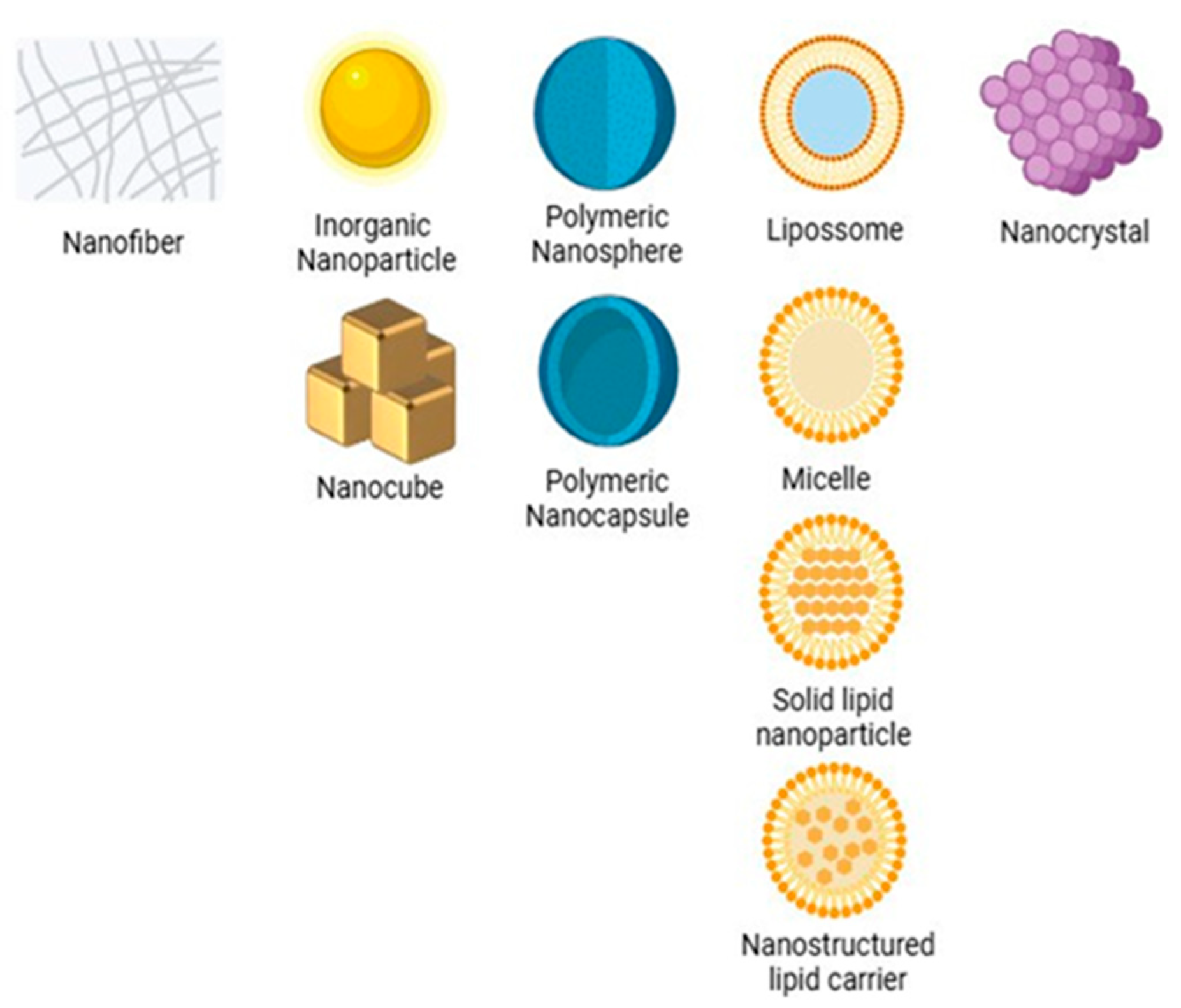 Pharmaceutics 17 01025 g002 Pharmaceutics 17 01025 g002