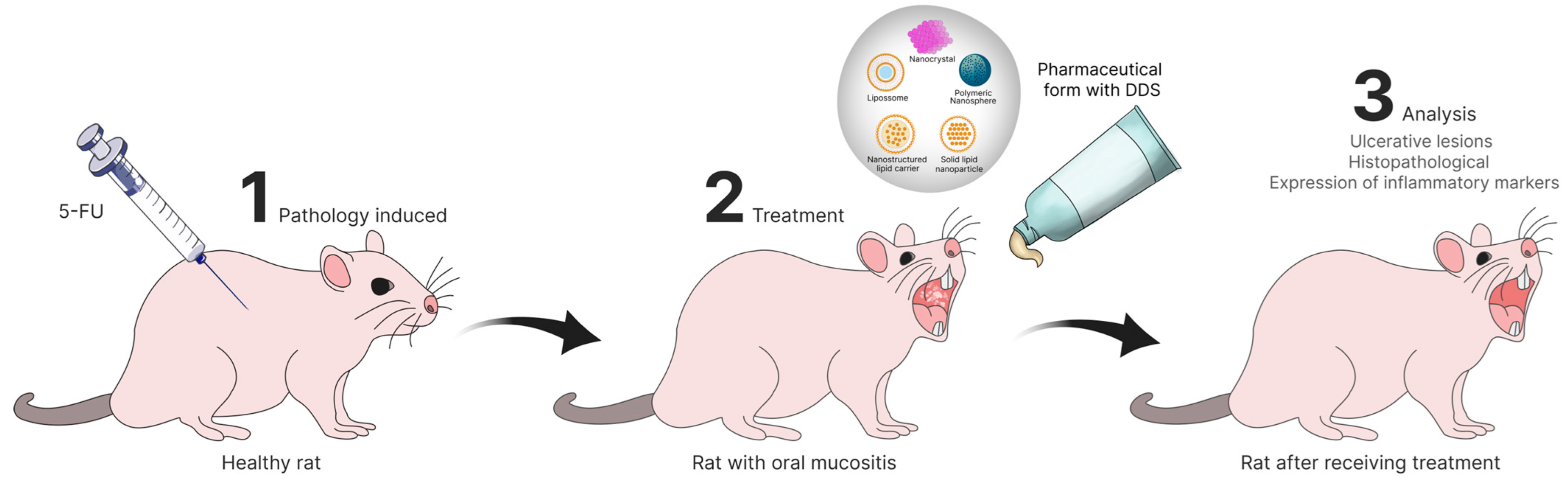 Pharmaceutics 17 01025 g005 Pharmaceutics 17 01025 g005