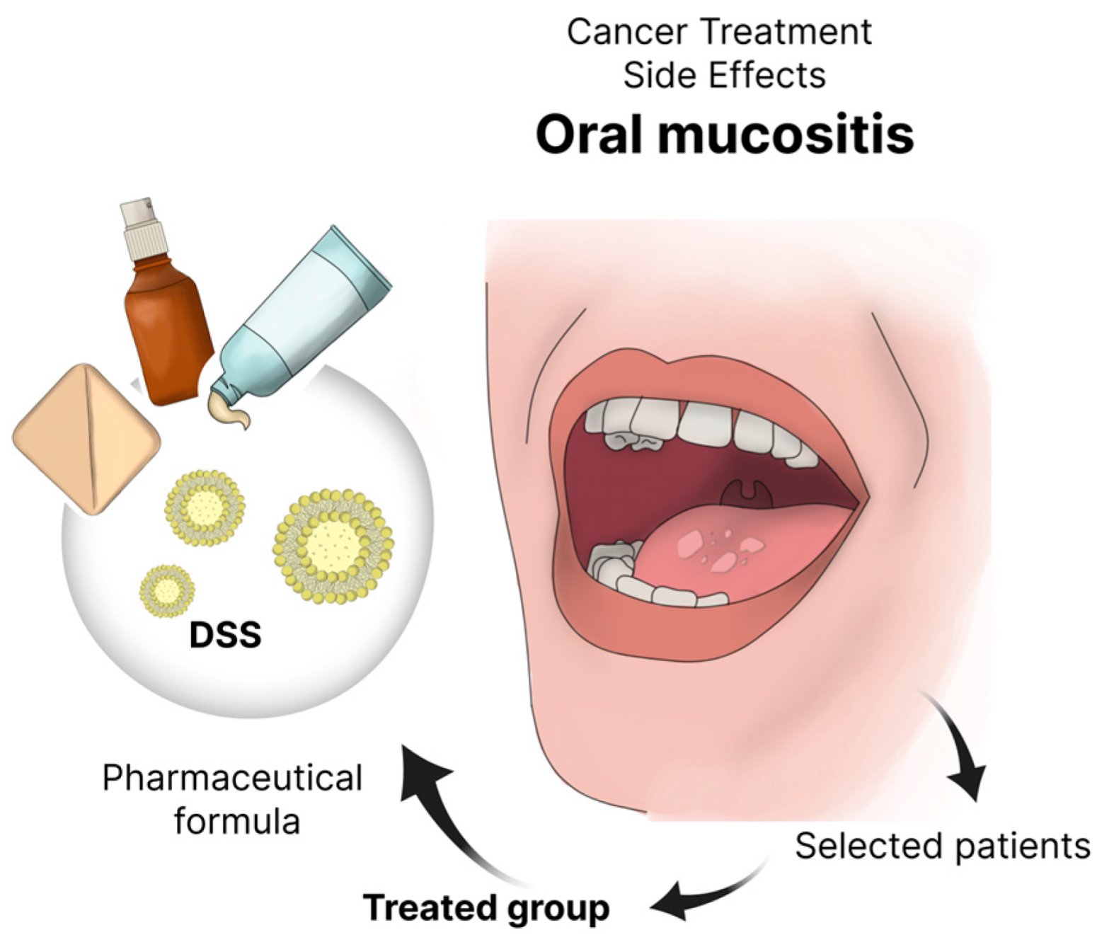 Pharmaceutics 17 01025 g006 Pharmaceutics 17 01025 g006