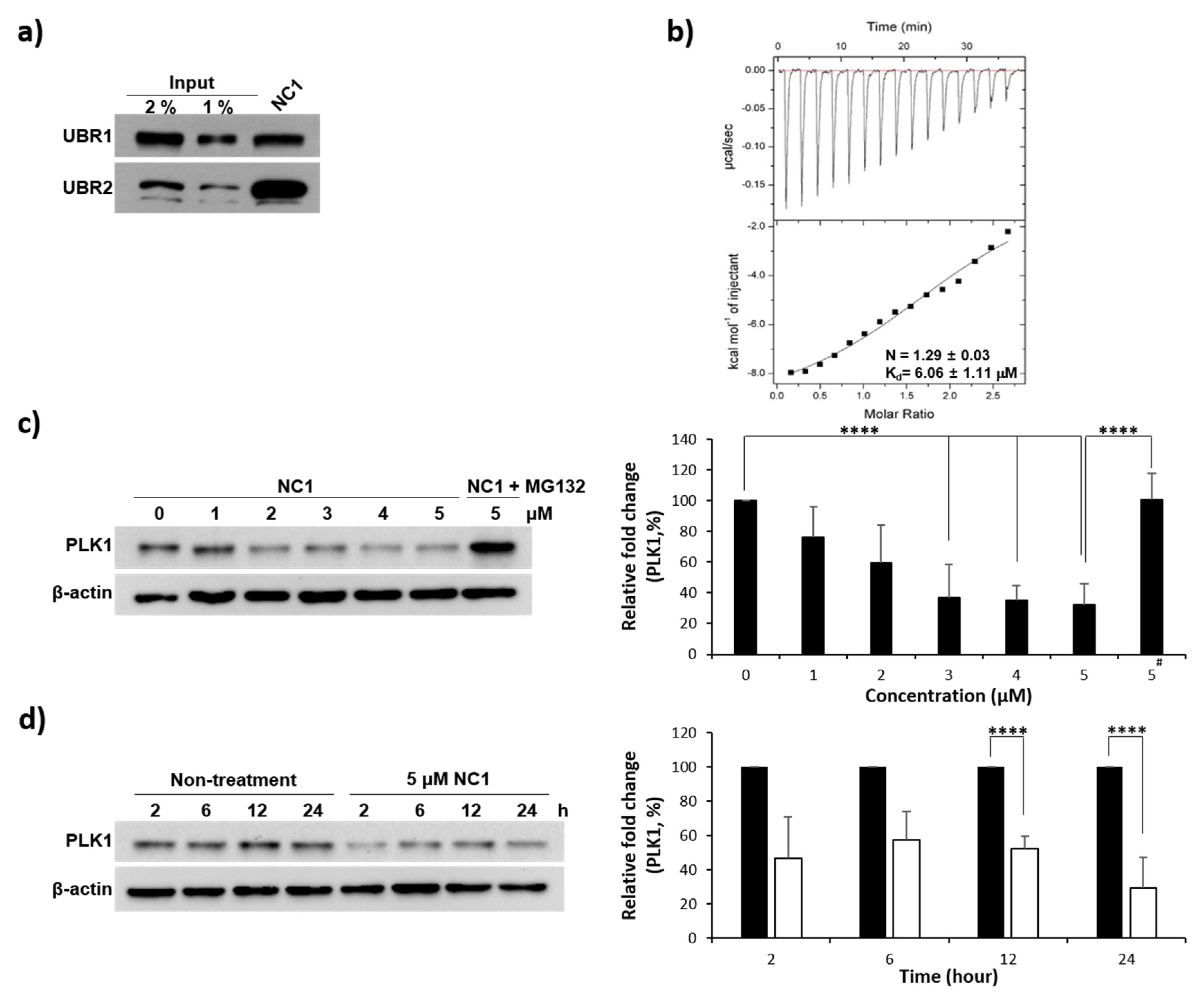 Pharmaceutics 17 01027 g003