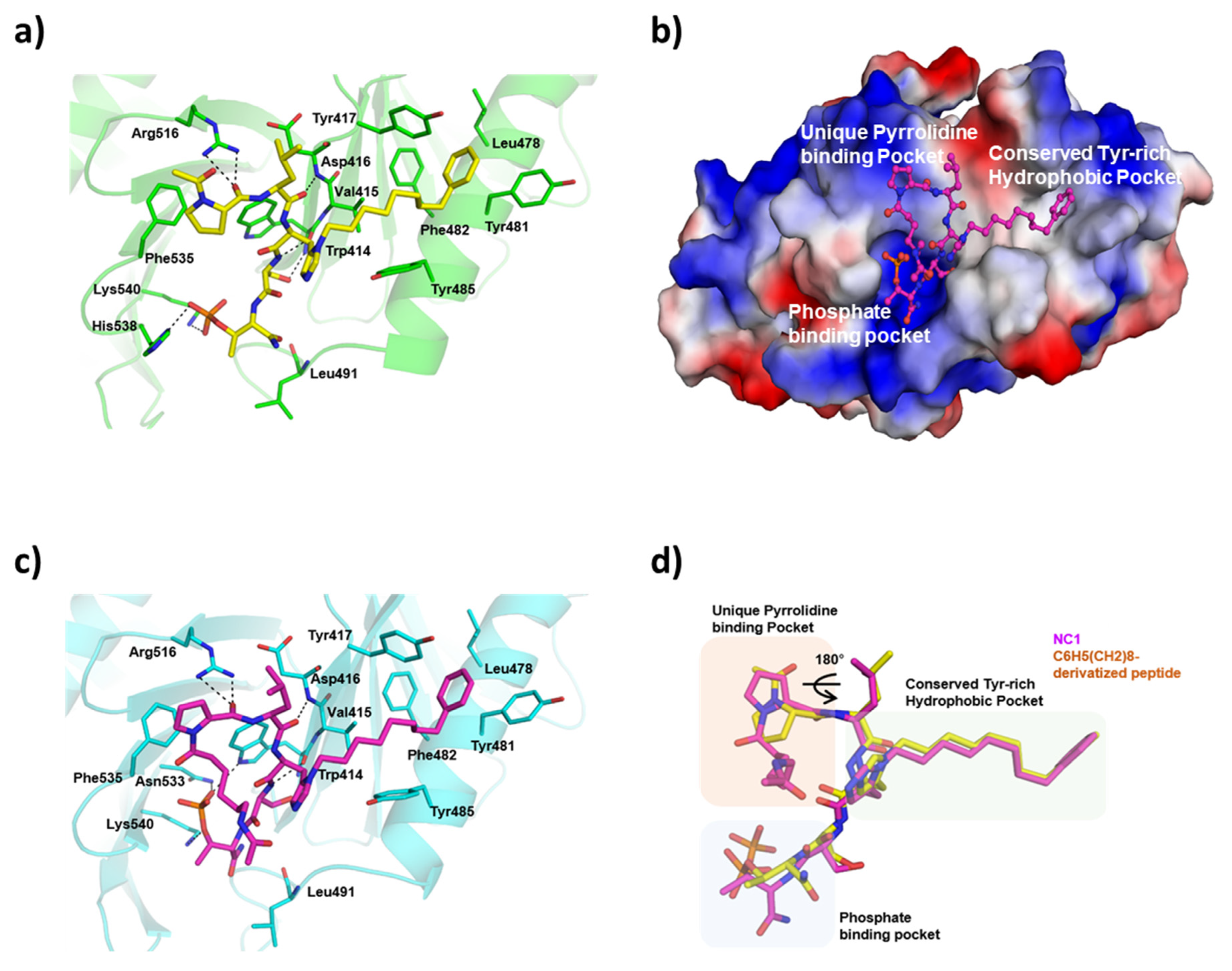 Pharmaceutics 17 01027 g004