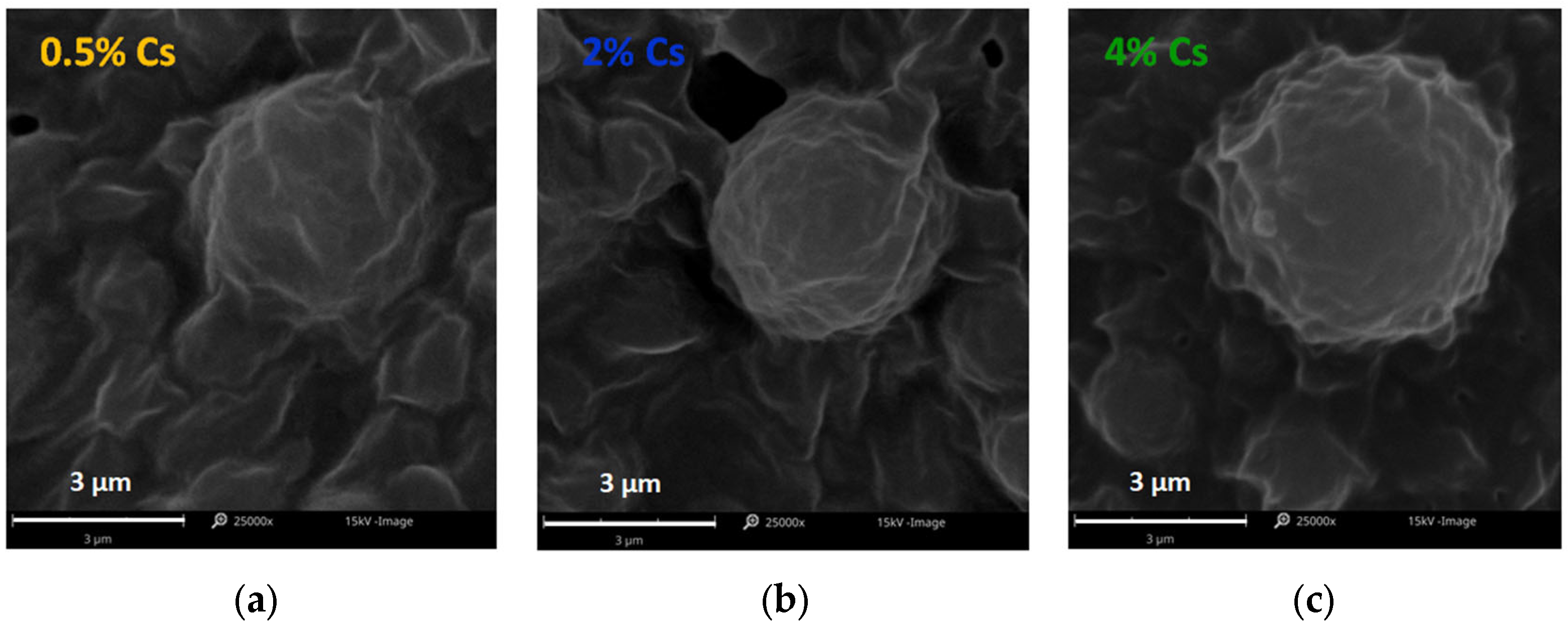Pharmaceutics 17 01030 g001