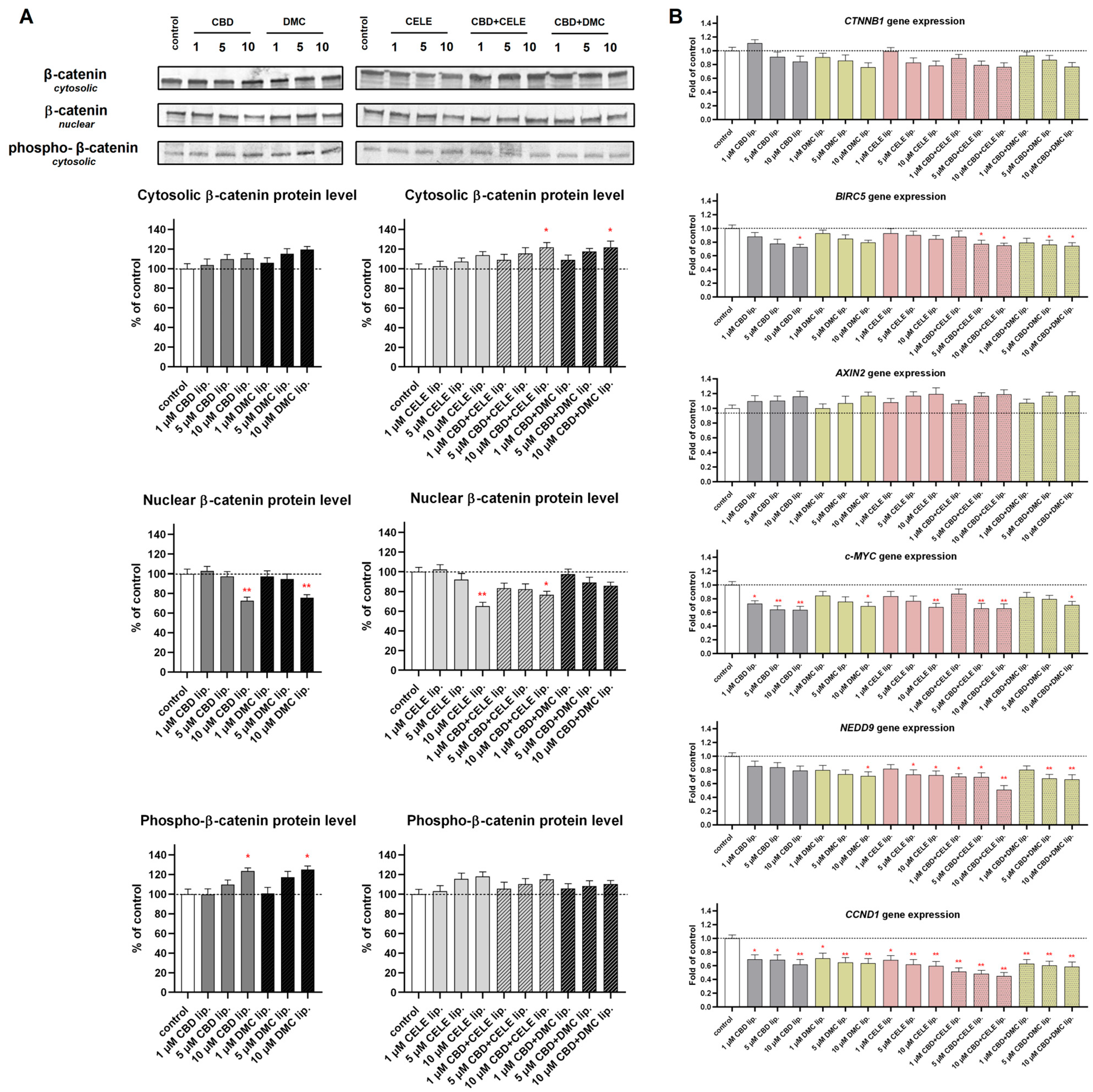 Pharmaceutics 17 01031 g007 Pharmaceutics 17 01031 g007
