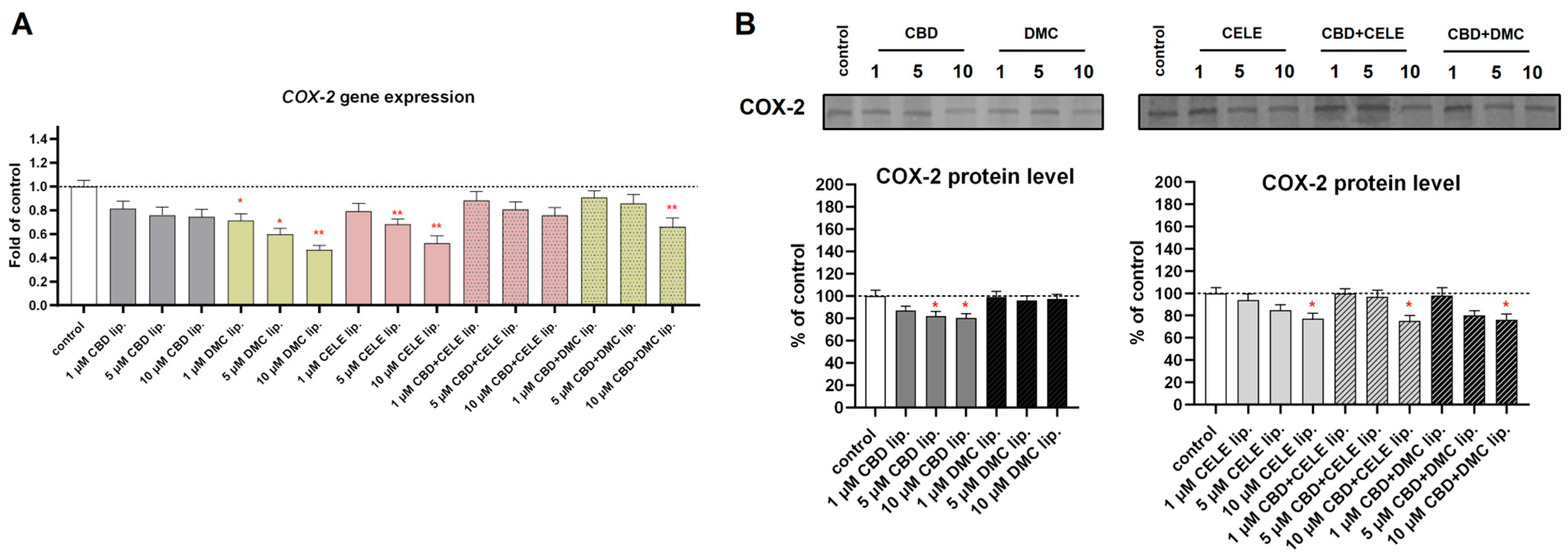 Pharmaceutics 17 01031 g009 Pharmaceutics 17 01031 g009