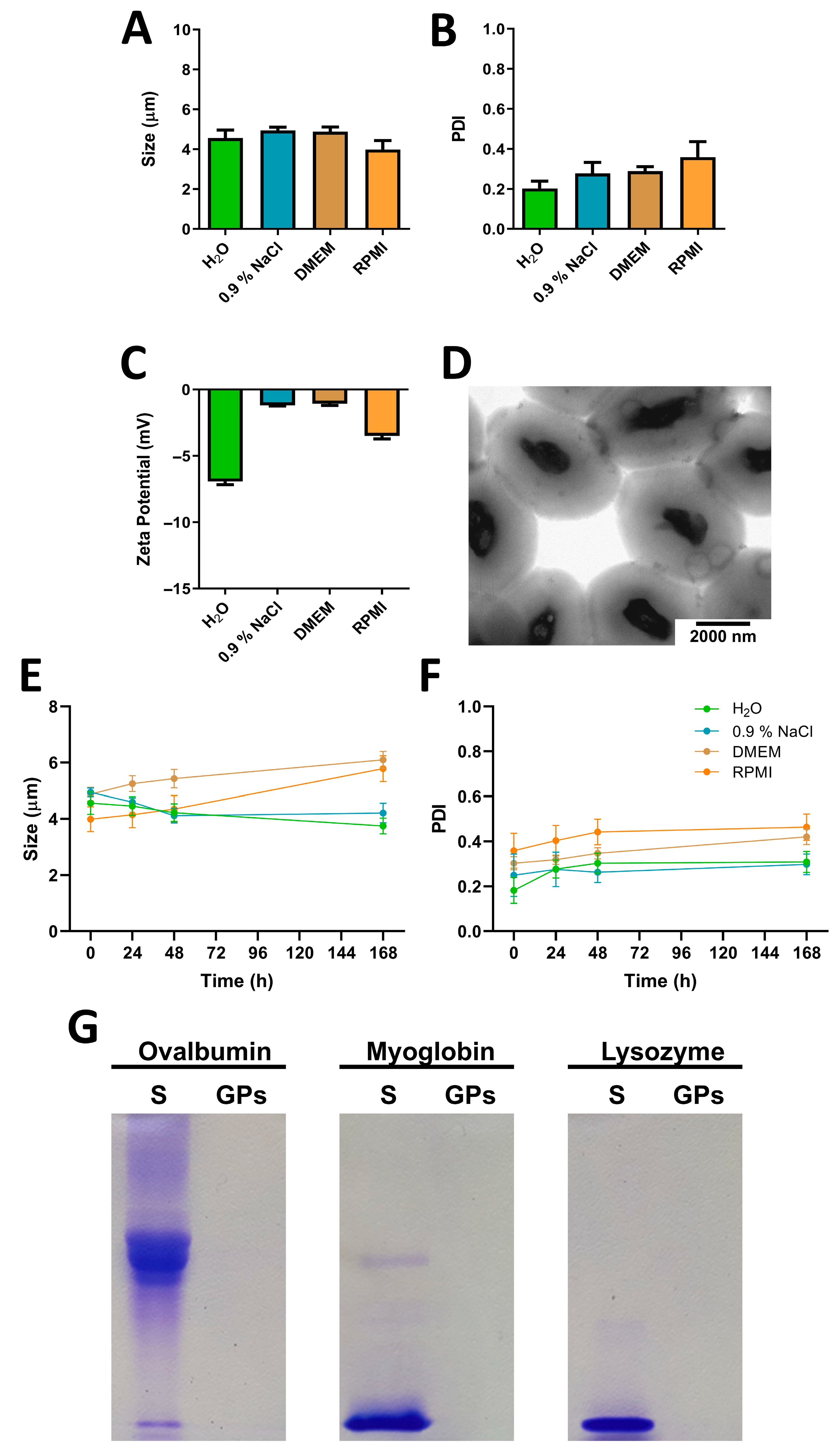 Pharmaceutics 17 01032 g001 Pharmaceutics 17 01032 g001