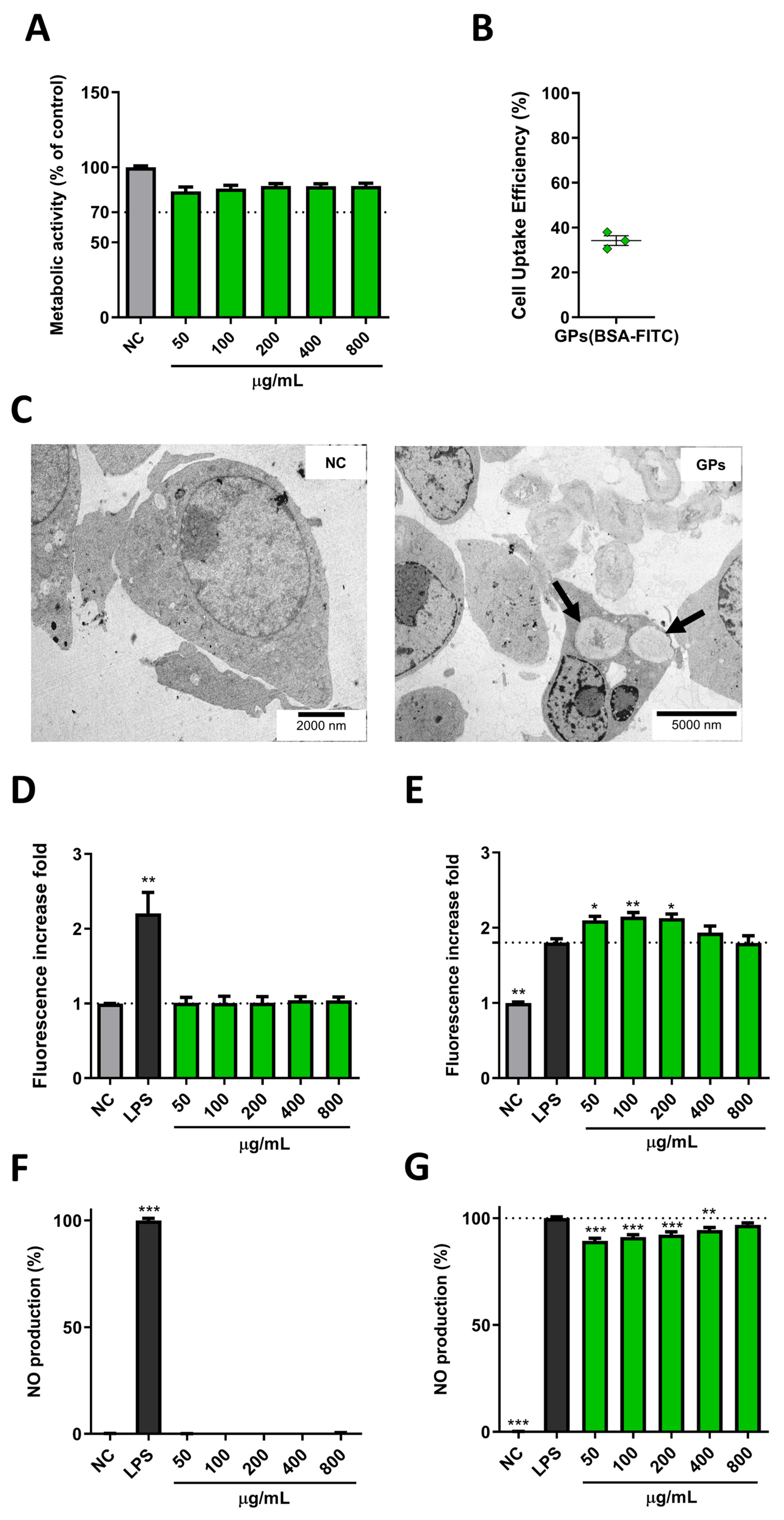 Pharmaceutics 17 01032 g002 Pharmaceutics 17 01032 g002