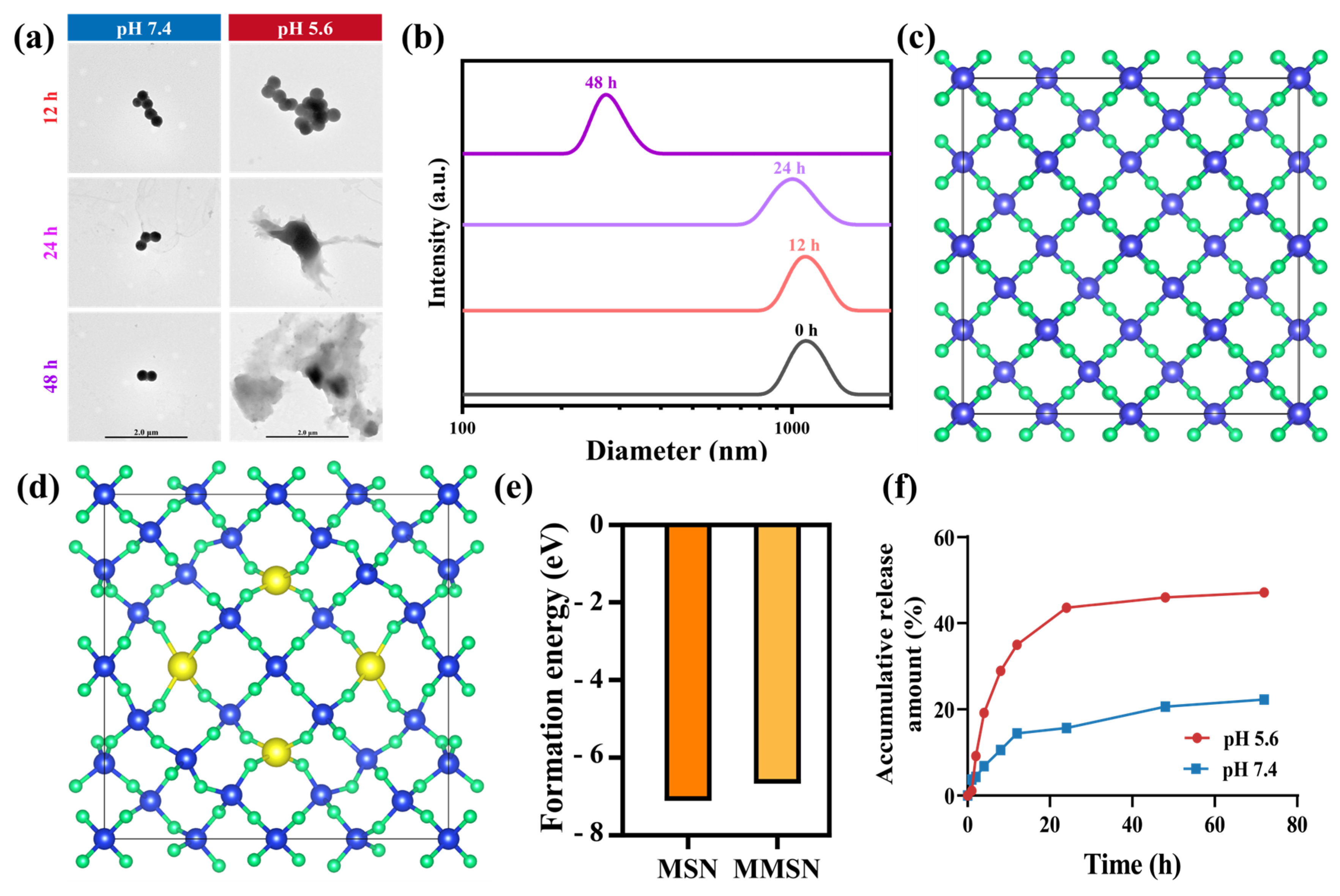 Pharmaceutics 17 01034 g002 Pharmaceutics 17 01034 g002