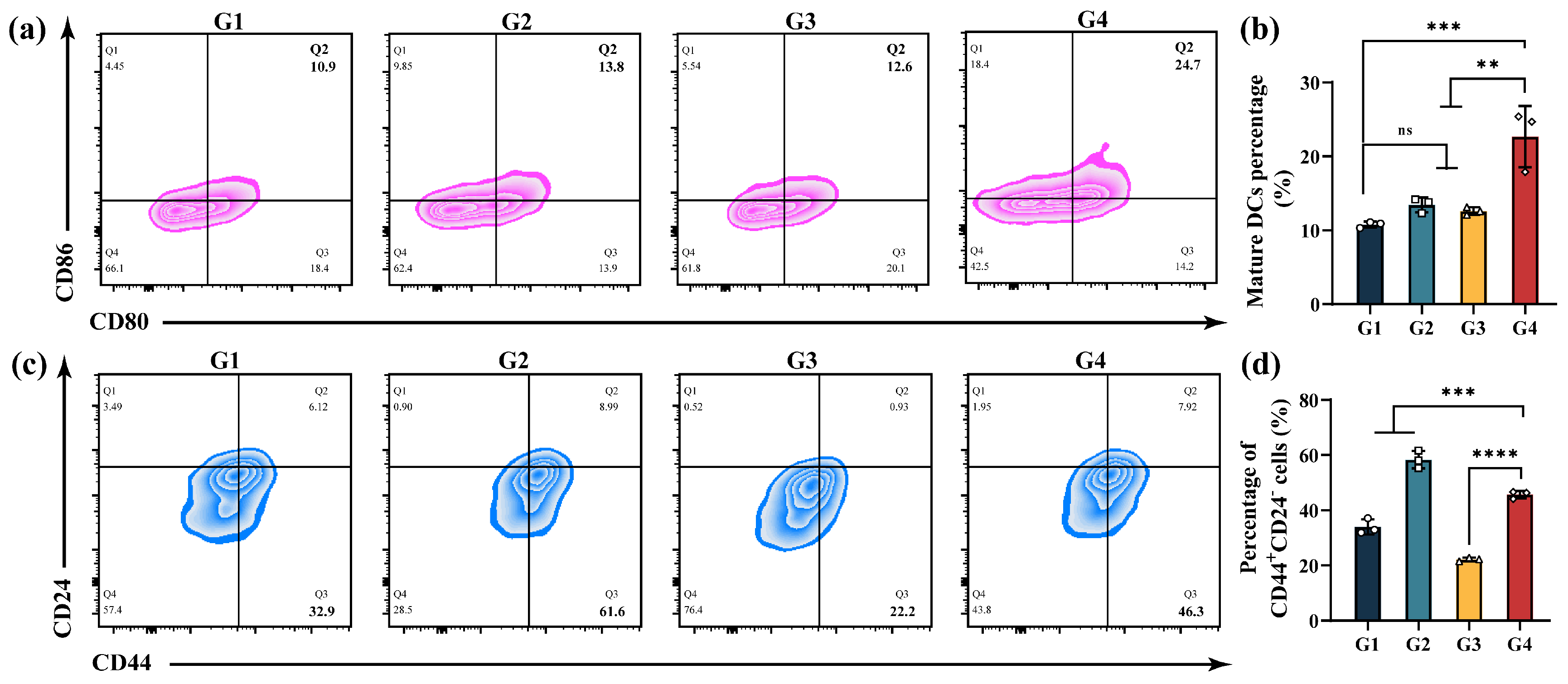 Pharmaceutics 17 01034 g005 Pharmaceutics 17 01034 g005
