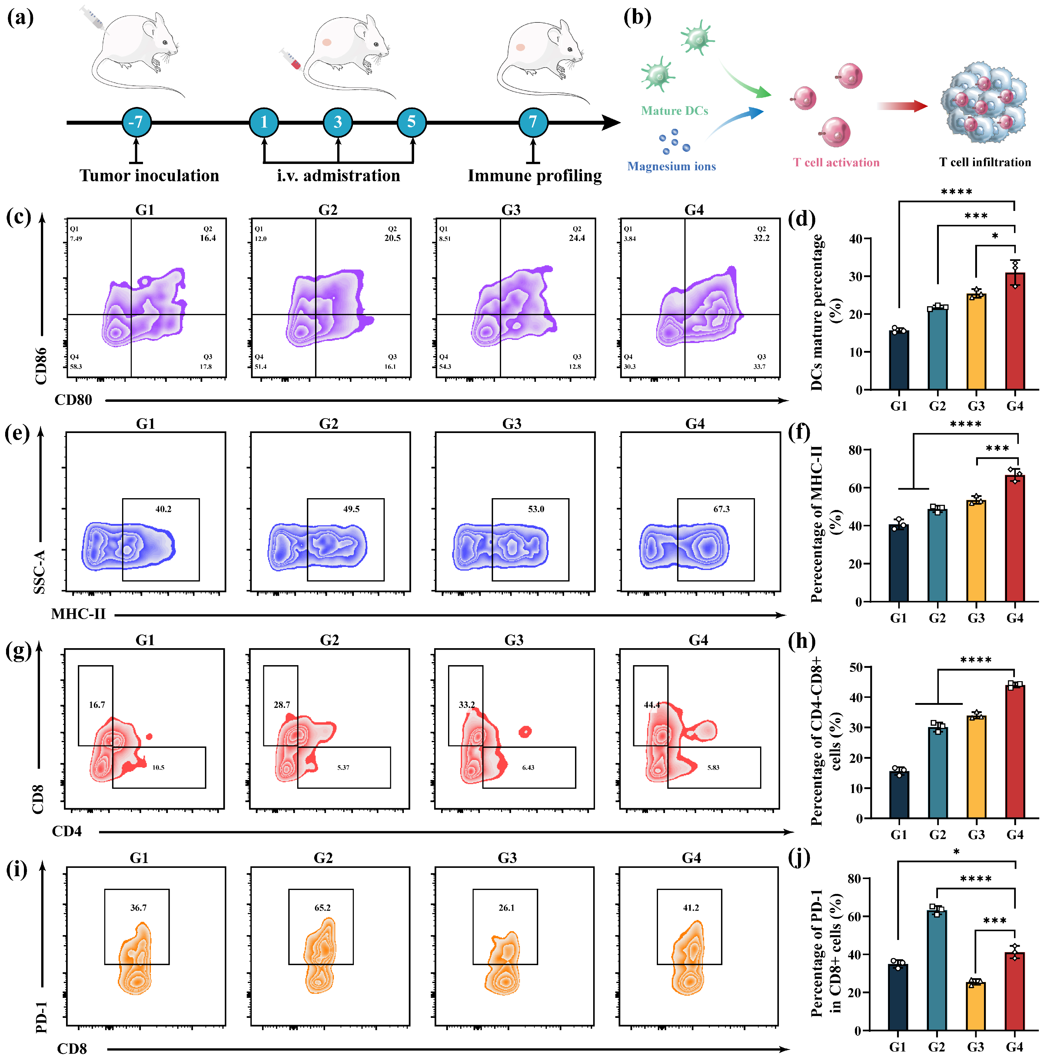 Pharmaceutics 17 01034 g007 Pharmaceutics 17 01034 g007