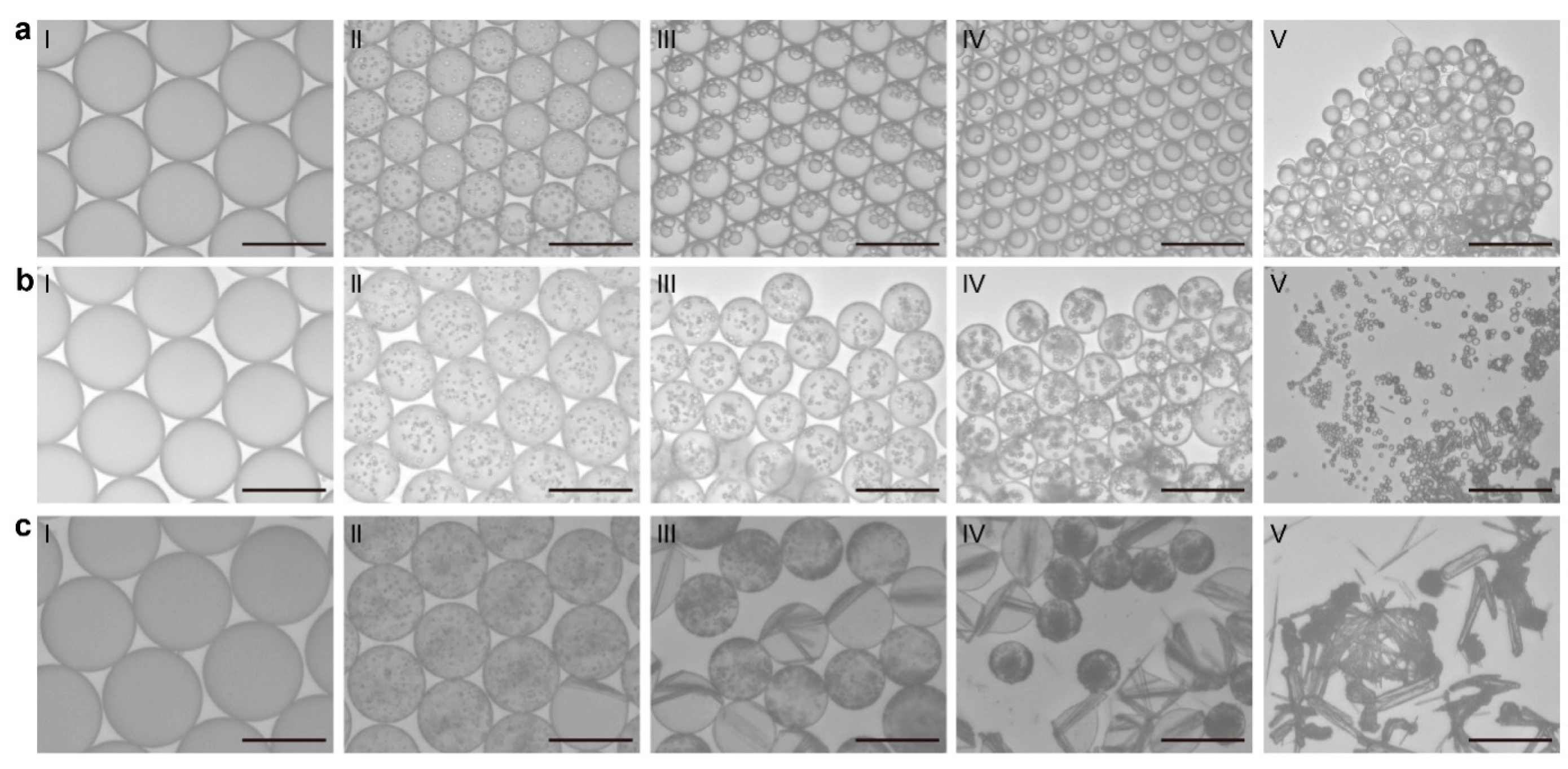 Pharmaceutics 17 01035 g003 Pharmaceutics 17 01035 g003