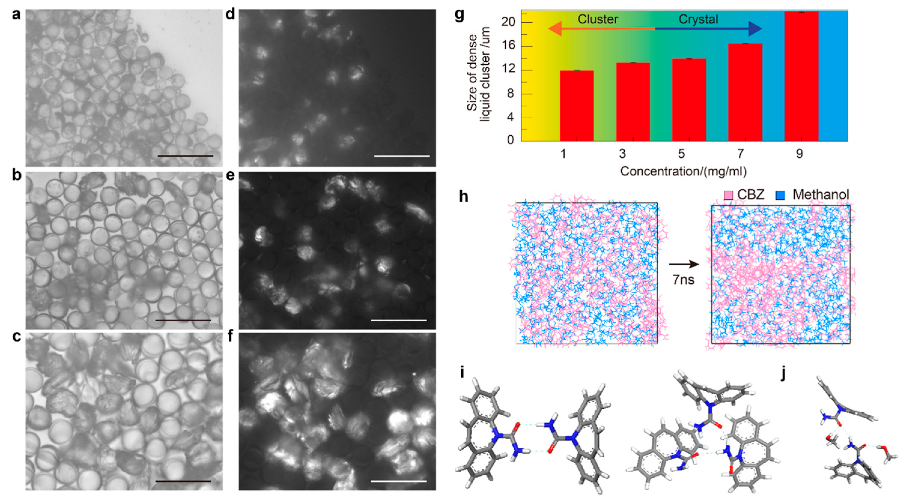 Pharmaceutics 17 01035 g005 Pharmaceutics 17 01035 g005