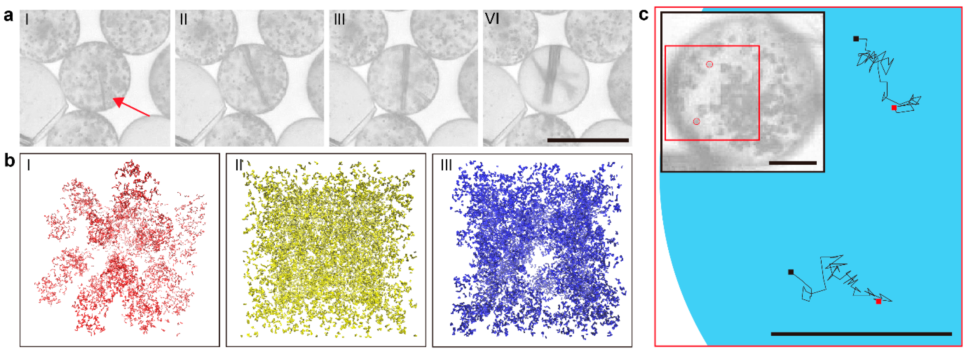 Pharmaceutics 17 01035 g008 Pharmaceutics 17 01035 g008