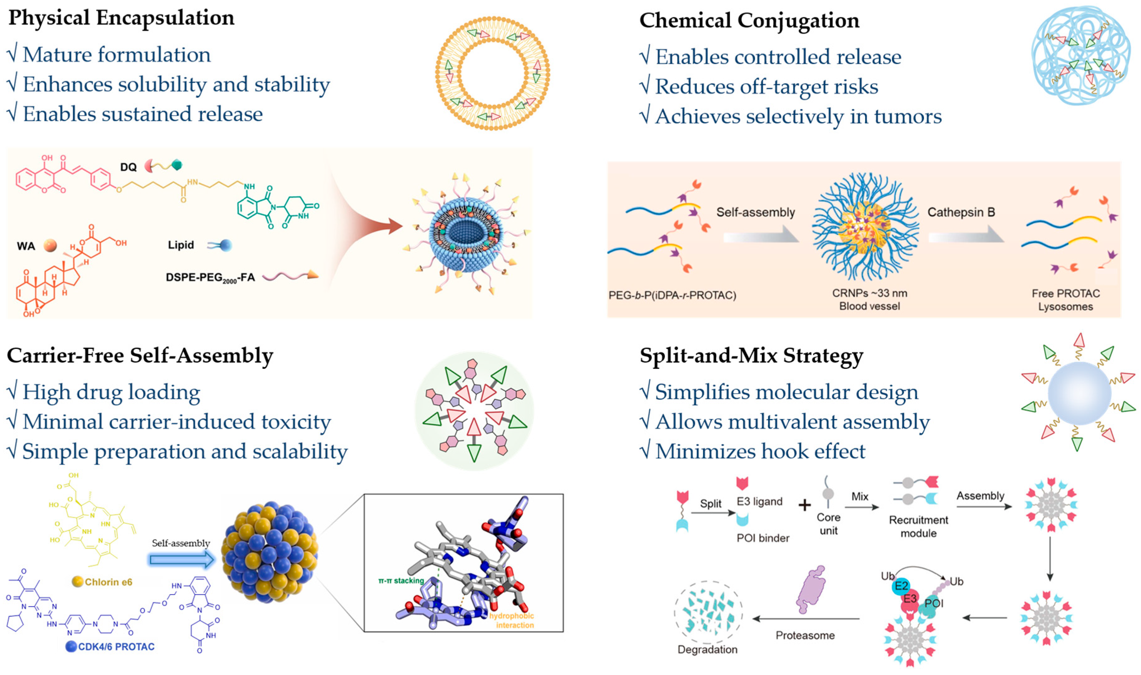 Pharmaceutics 17 01037 g002 Pharmaceutics 17 01037 g002
