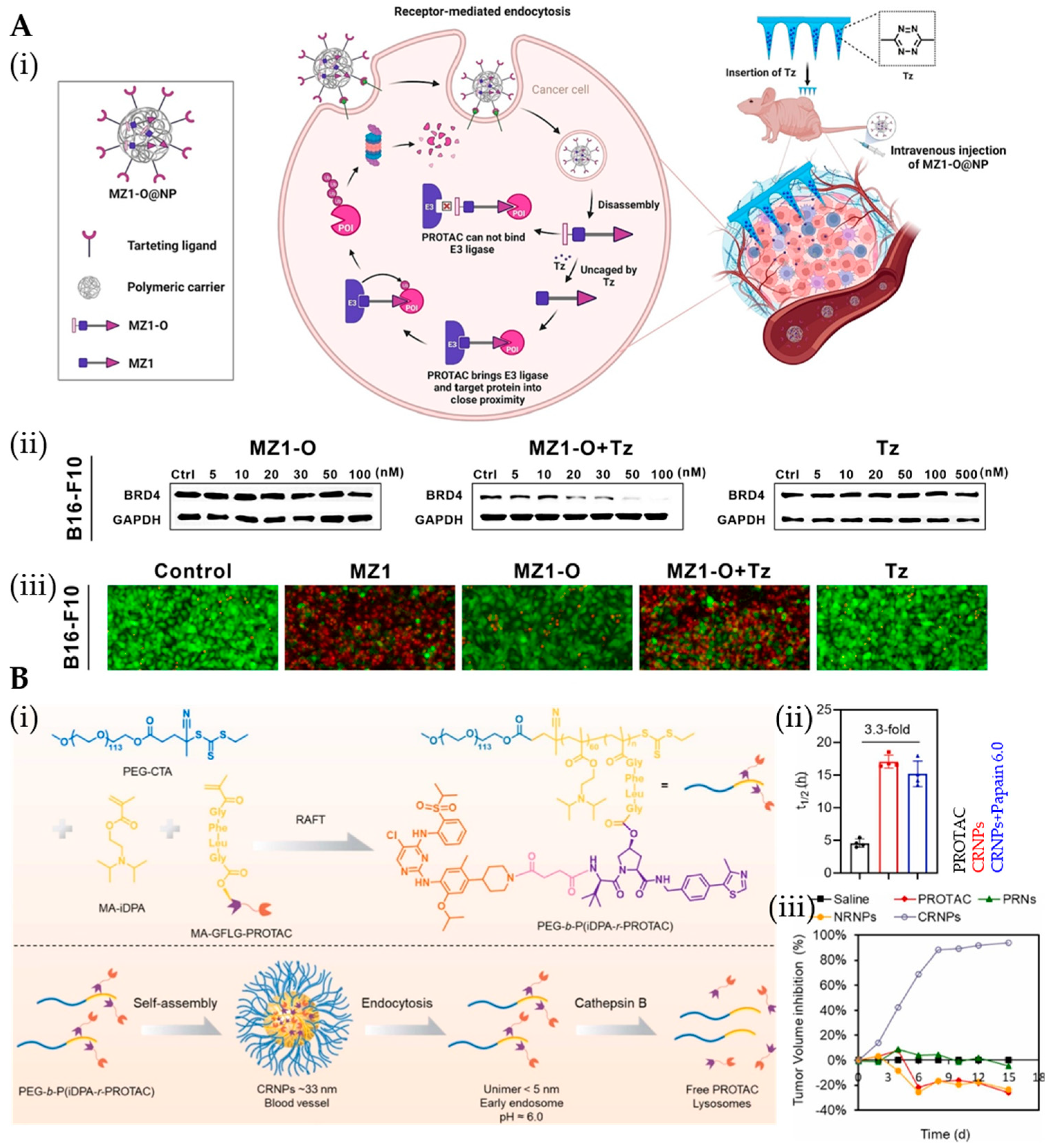 Pharmaceutics 17 01037 g004 Pharmaceutics 17 01037 g004