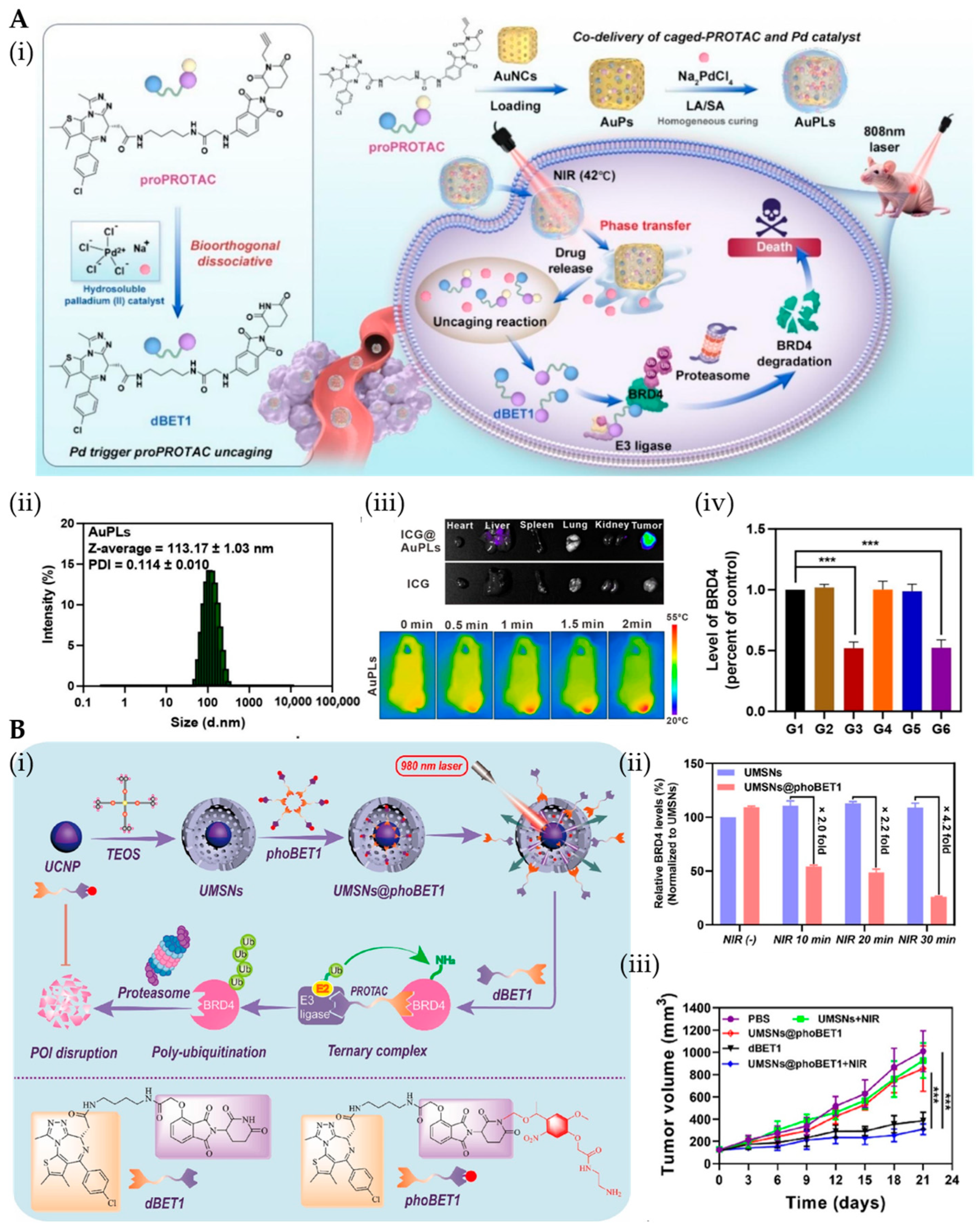 Pharmaceutics 17 01037 g005 Pharmaceutics 17 01037 g005
