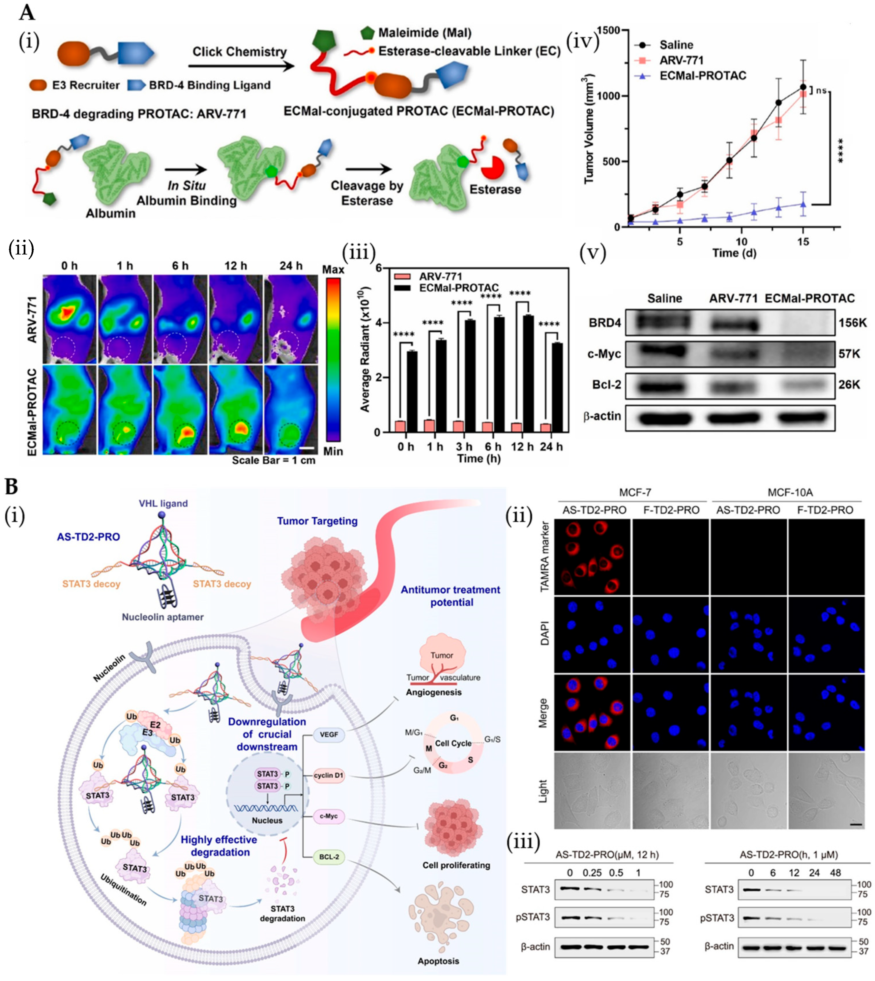 Pharmaceutics 17 01037 g006 Pharmaceutics 17 01037 g006