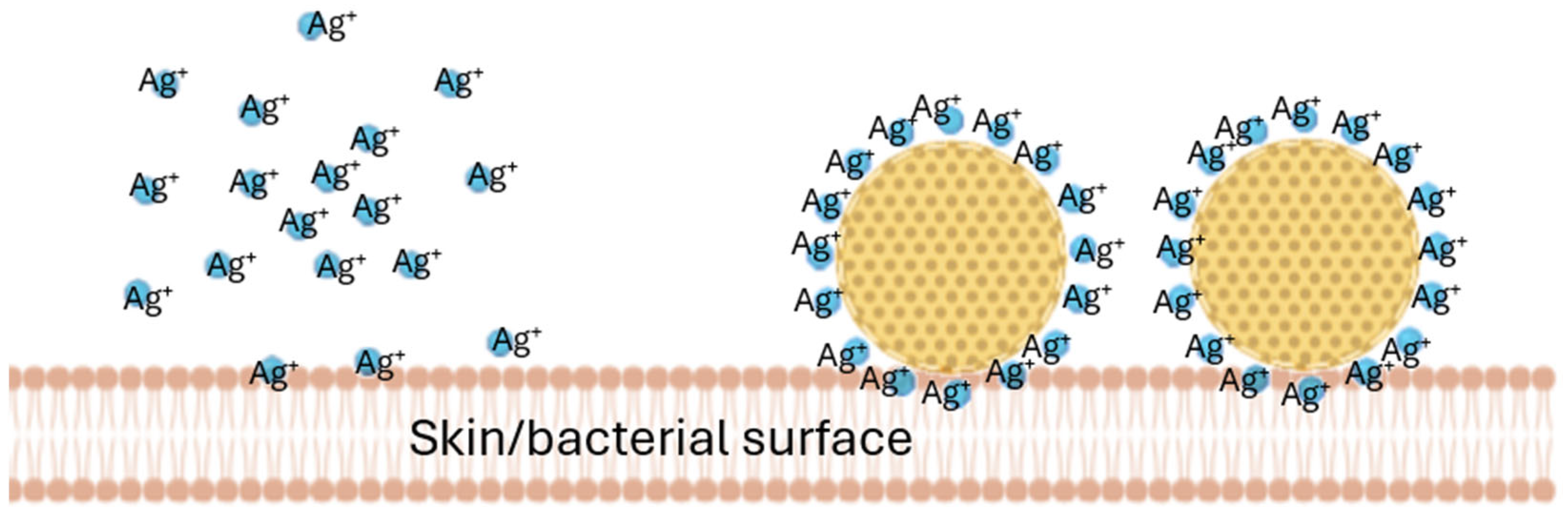 Pharmaceutics 17 01039 g001