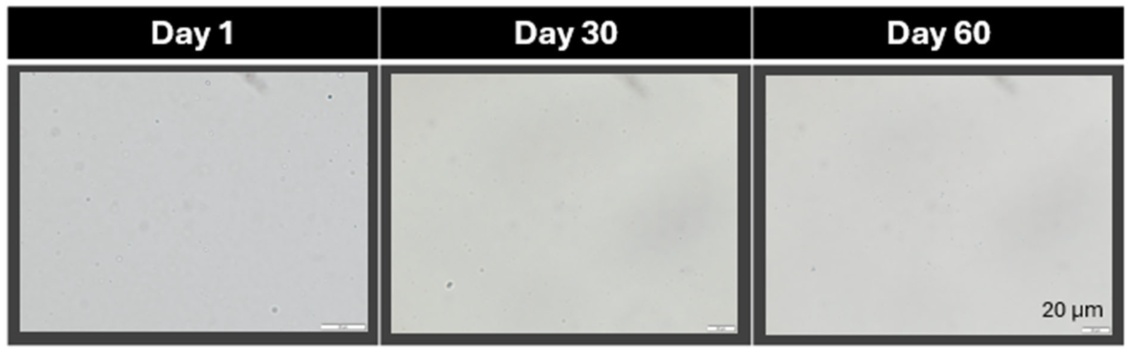 Pharmaceutics 17 01039 g005