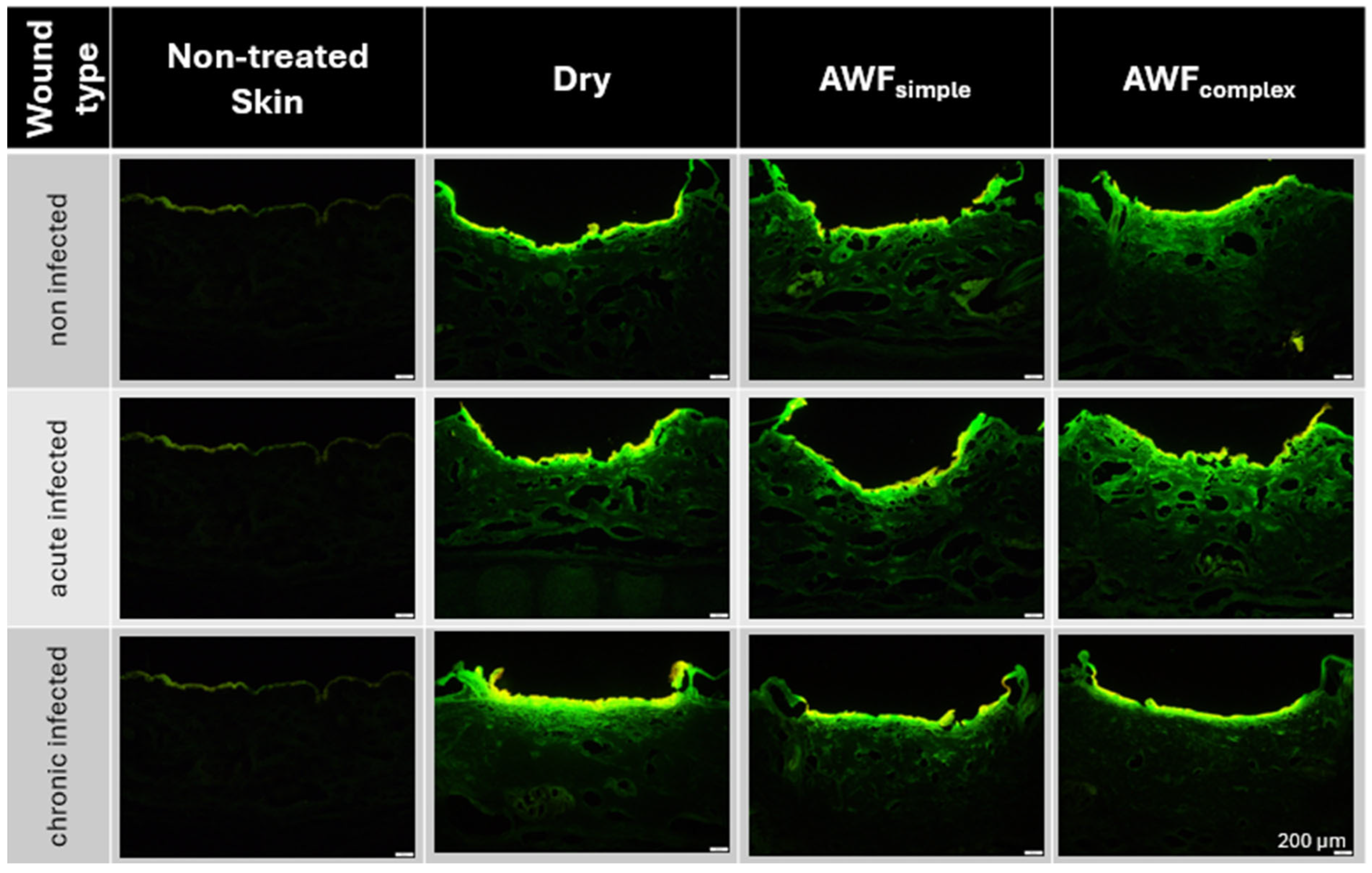 Pharmaceutics 17 01039 g007