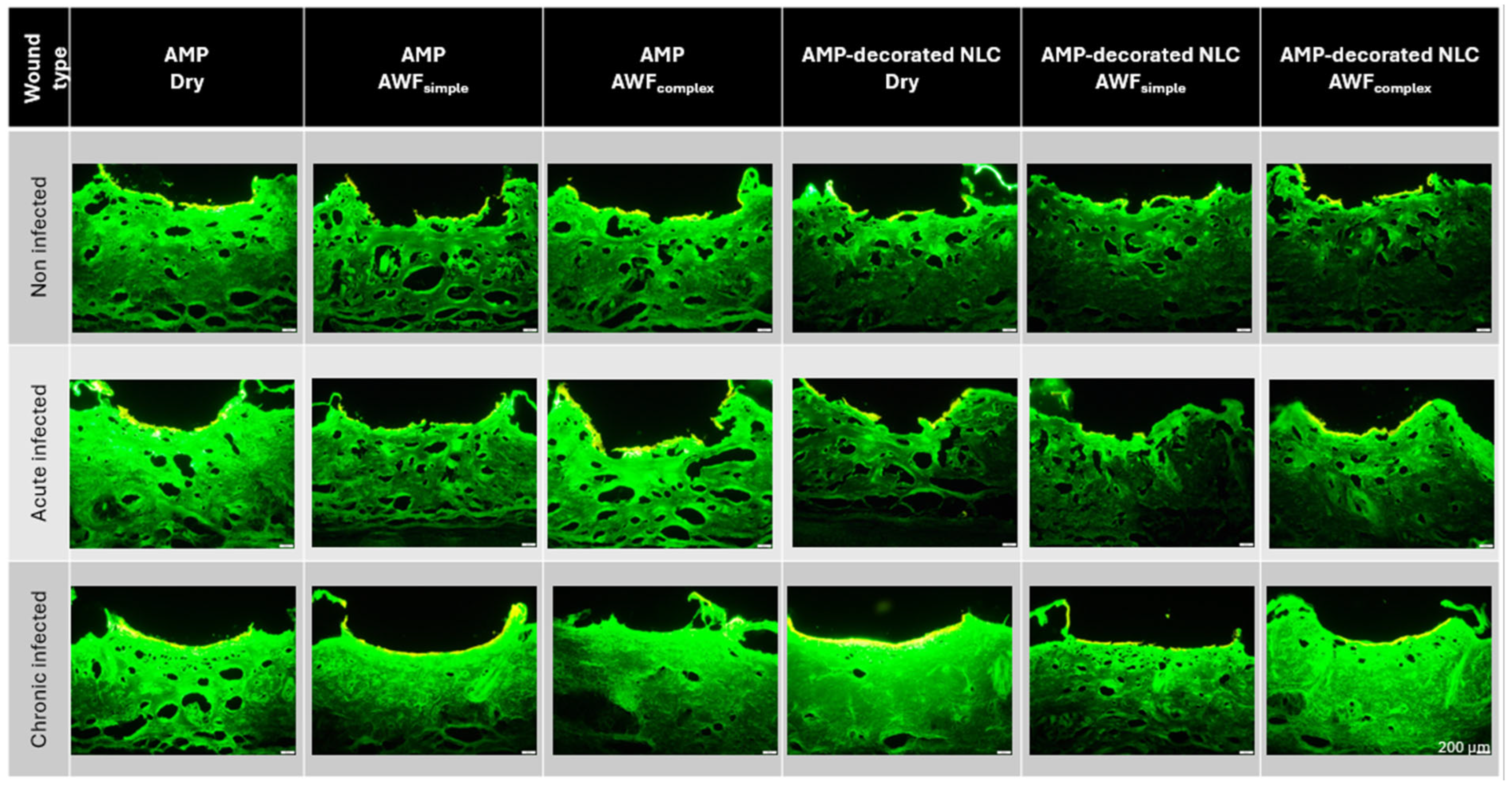 Pharmaceutics 17 01039 g009