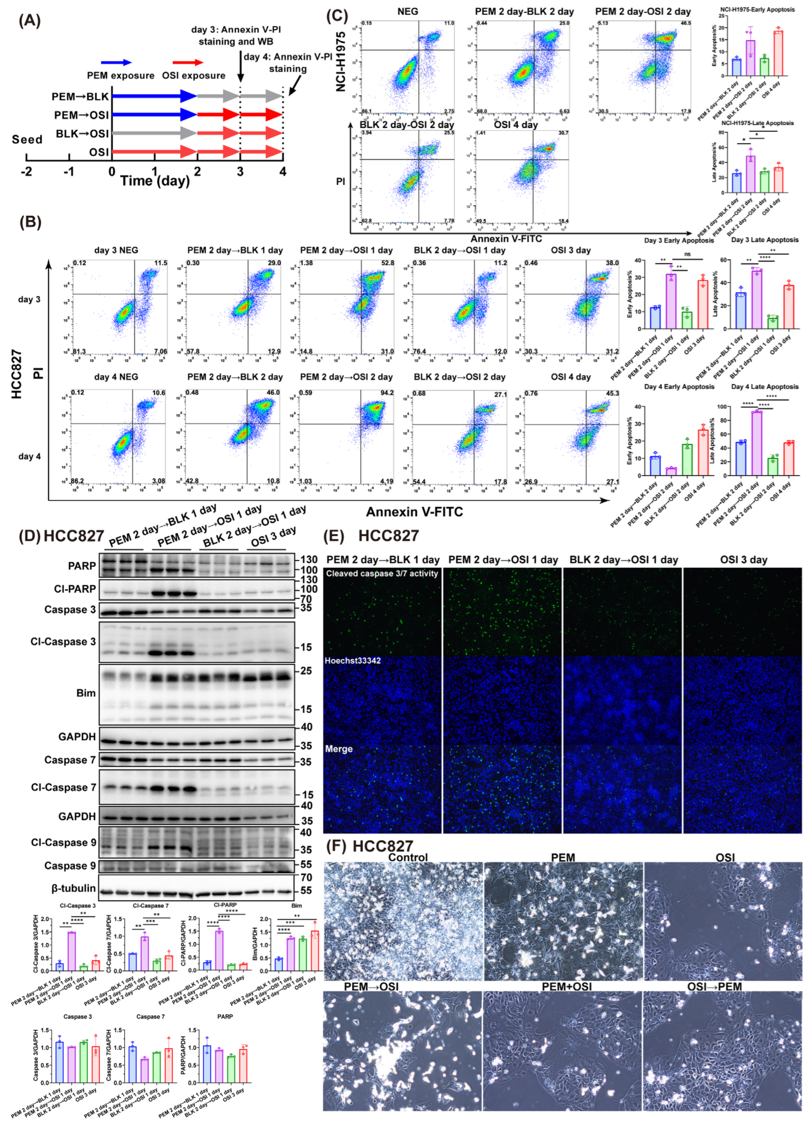Pharmaceutics 17 01044 g003 Pharmaceutics 17 01044 g003