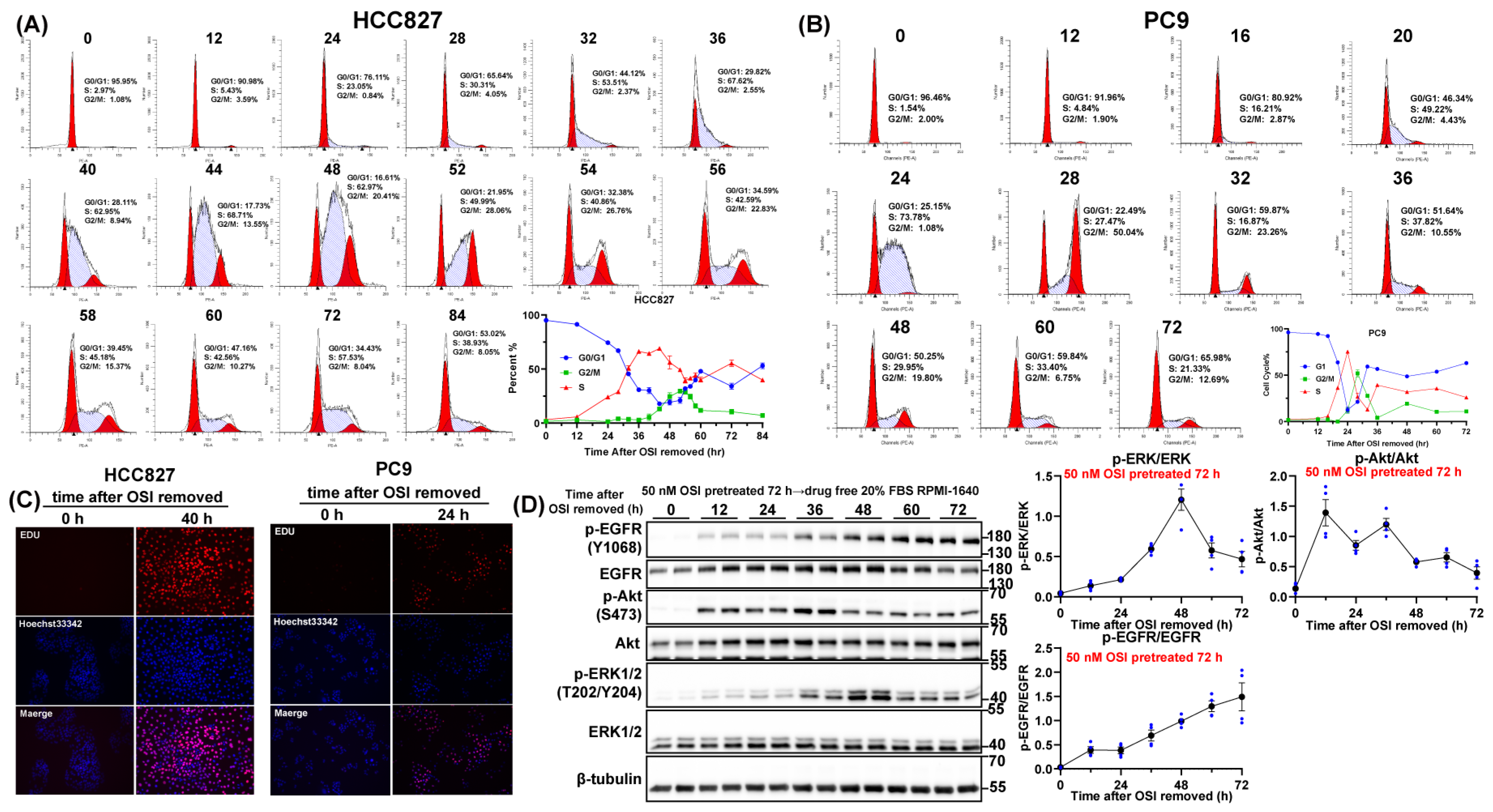 Pharmaceutics 17 01044 g005 Pharmaceutics 17 01044 g005