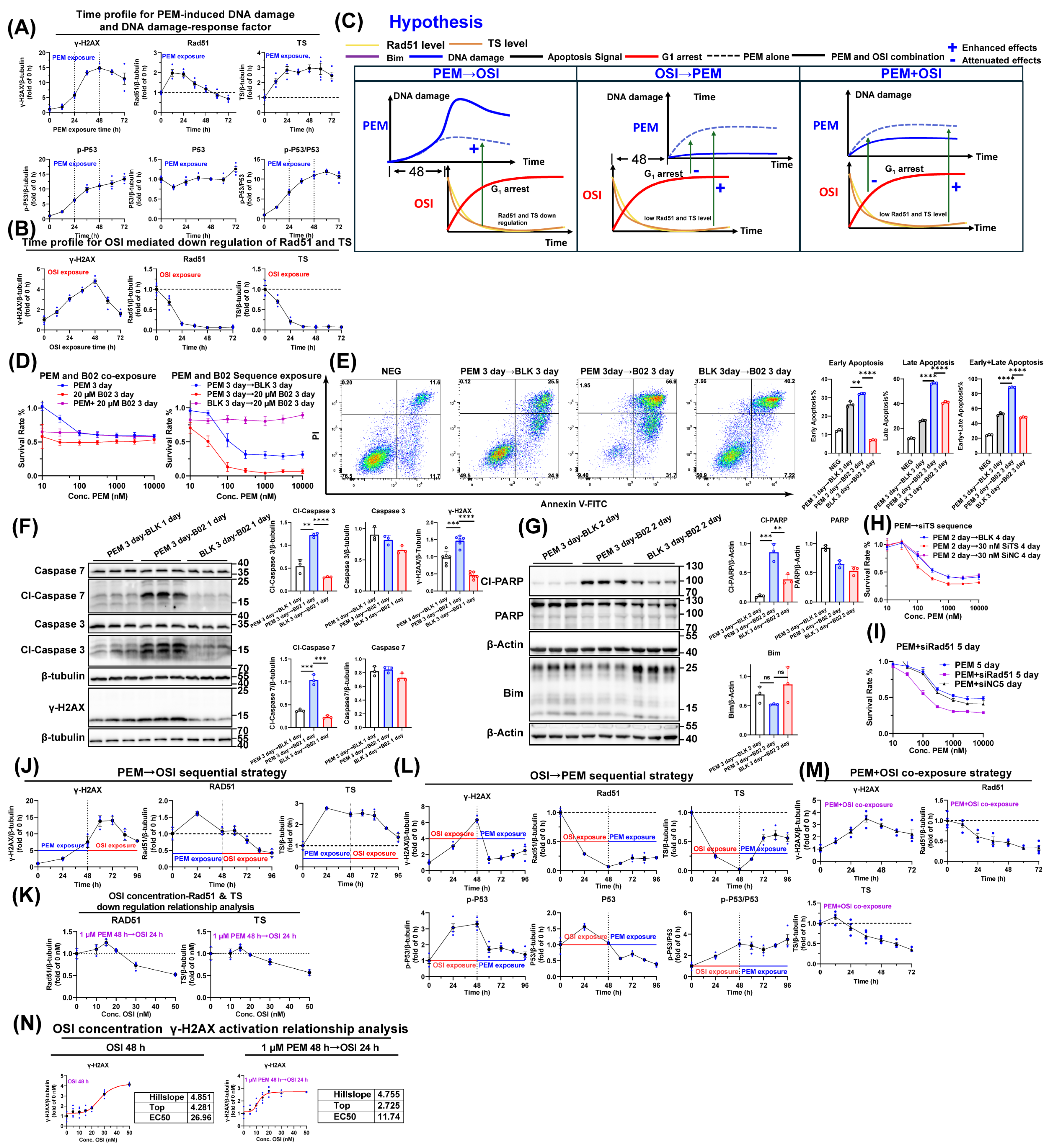 Pharmaceutics 17 01044 g006 Pharmaceutics 17 01044 g006