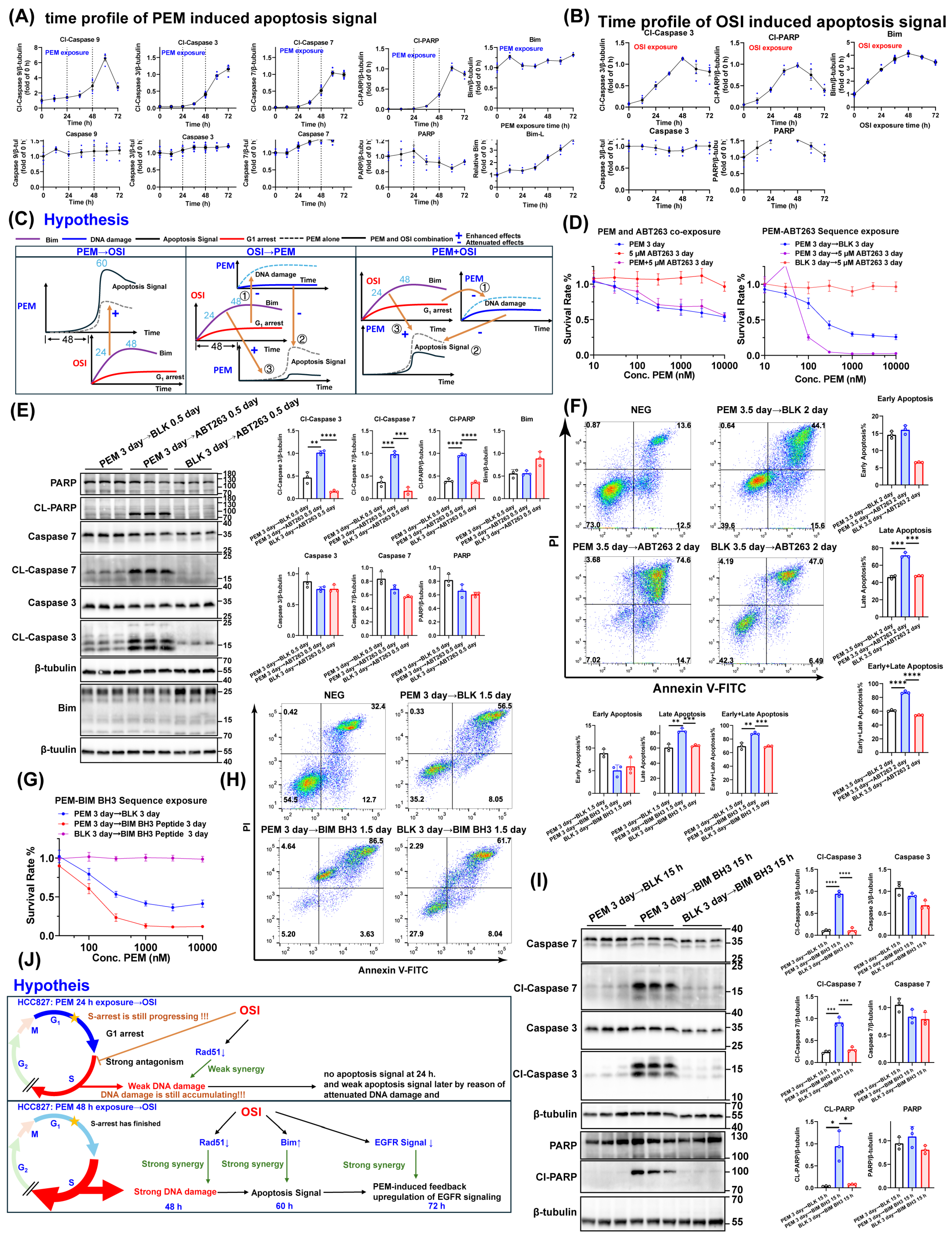 Pharmaceutics 17 01044 g007 Pharmaceutics 17 01044 g007