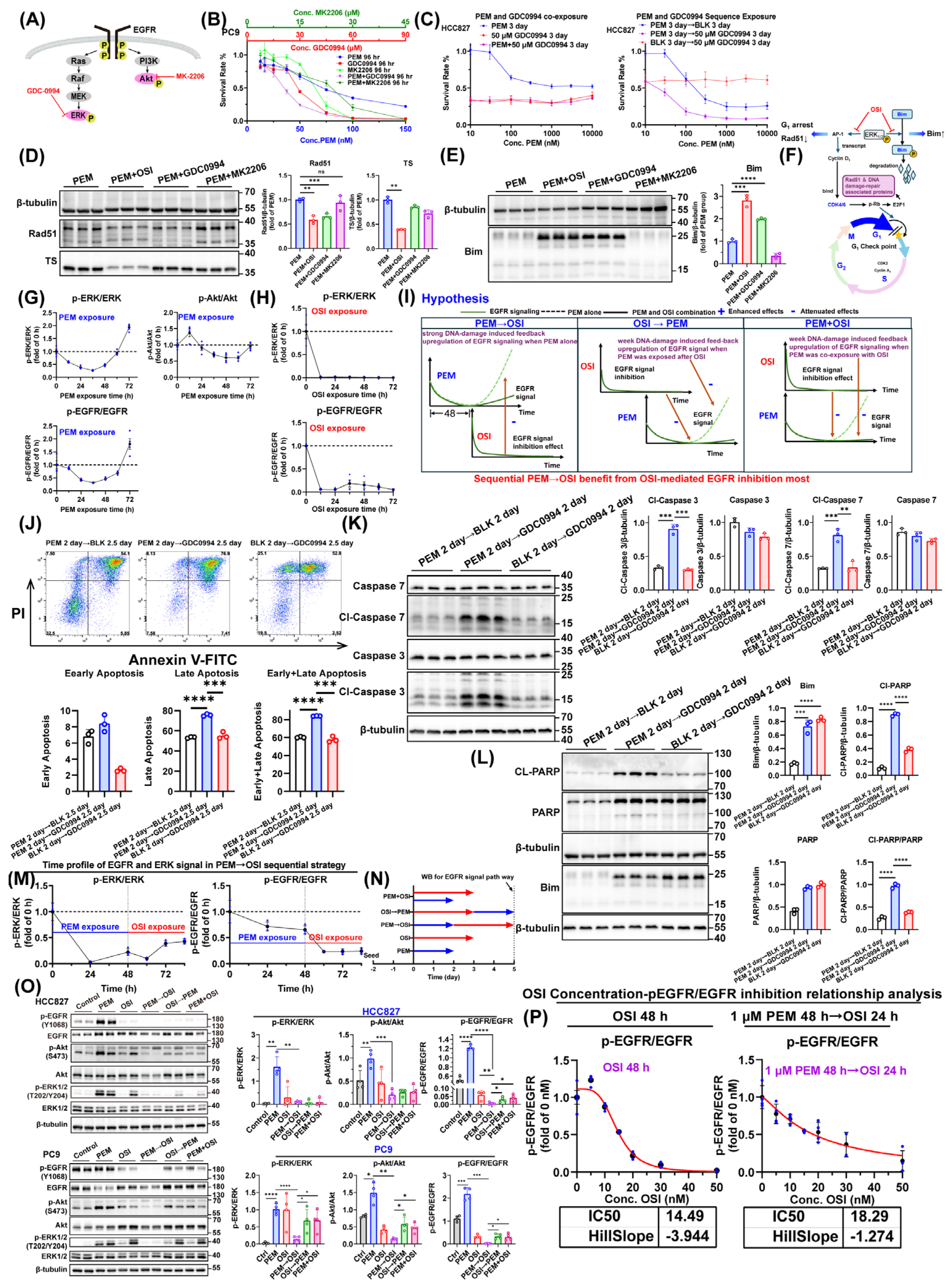 Pharmaceutics 17 01044 g009 Pharmaceutics 17 01044 g009