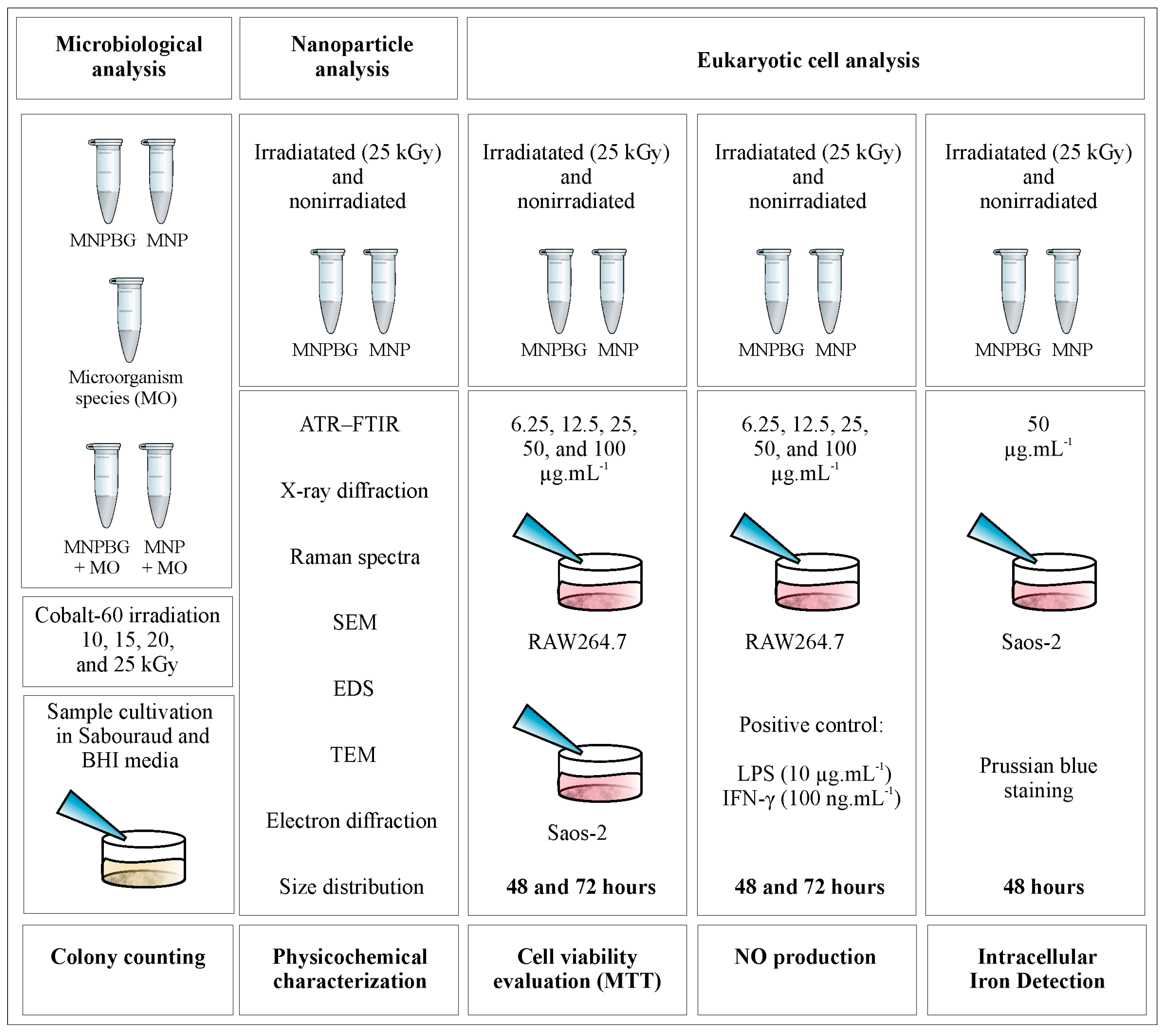 Pharmaceutics 17 01048 g001
