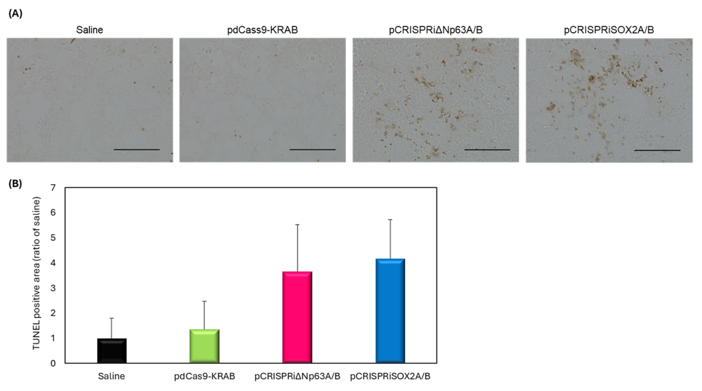 Pharmaceutics 17 01053 g005