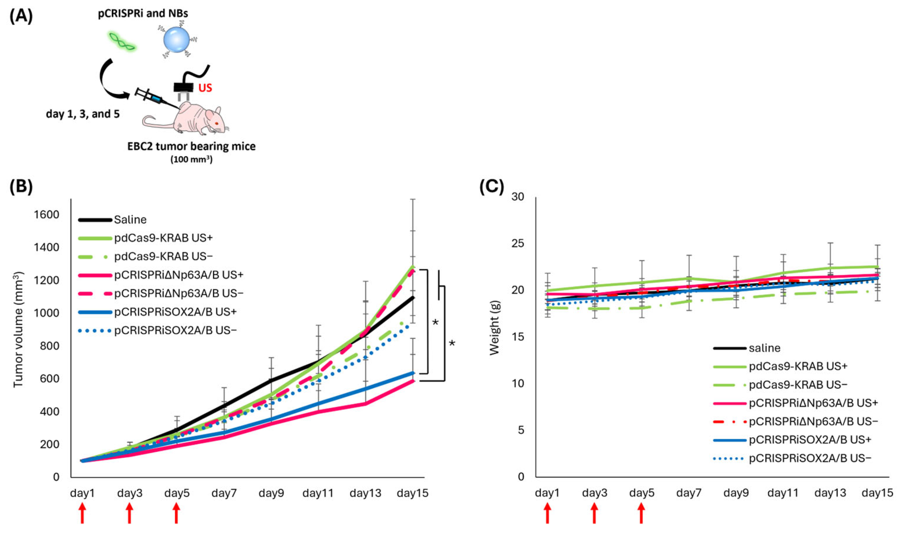 Pharmaceutics 17 01053 g006