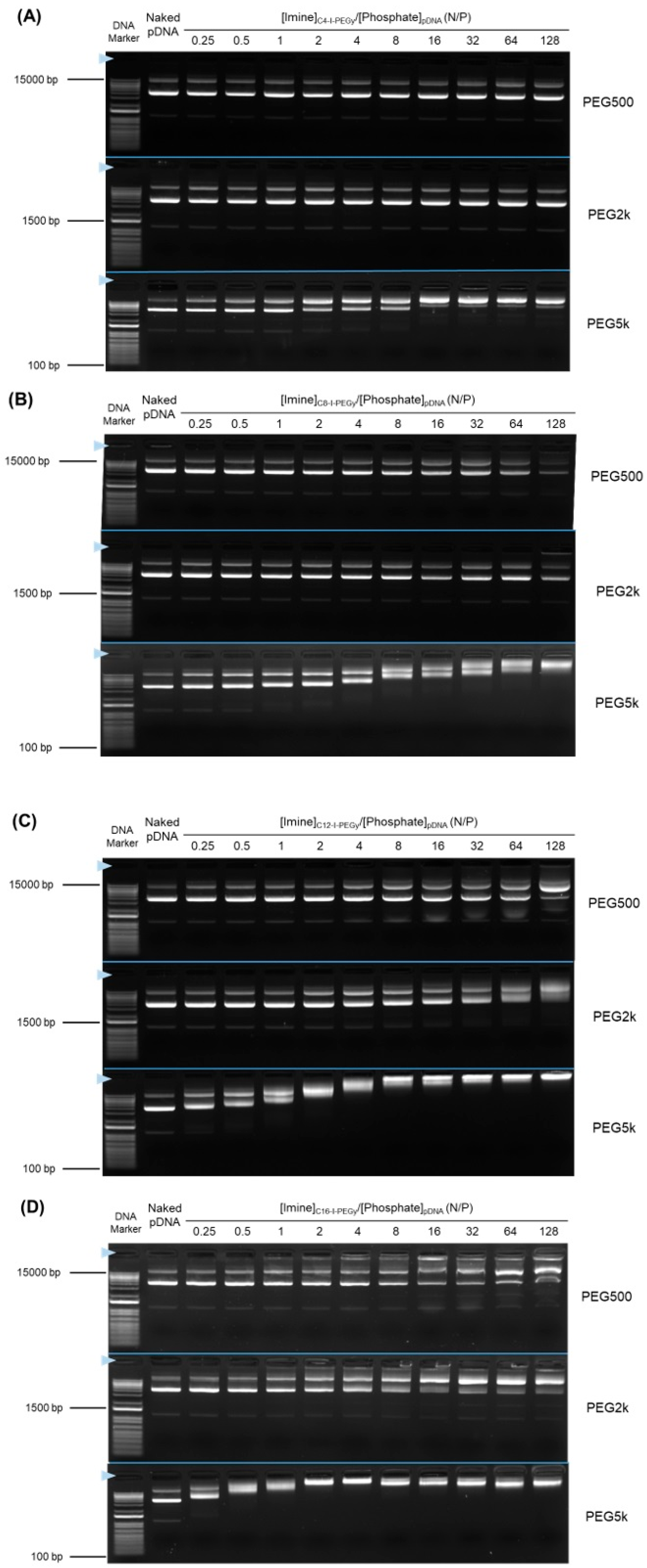Pharmaceutics 17 01054 g002 Pharmaceutics 17 01054 g002