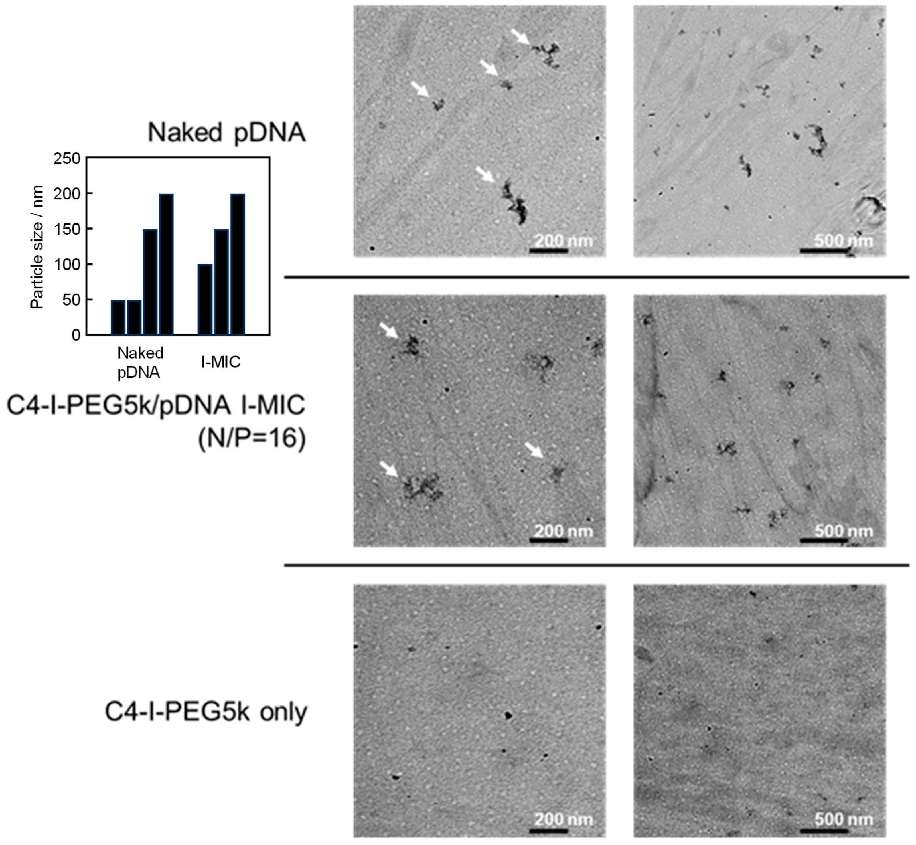 Pharmaceutics 17 01054 g006 Pharmaceutics 17 01054 g006