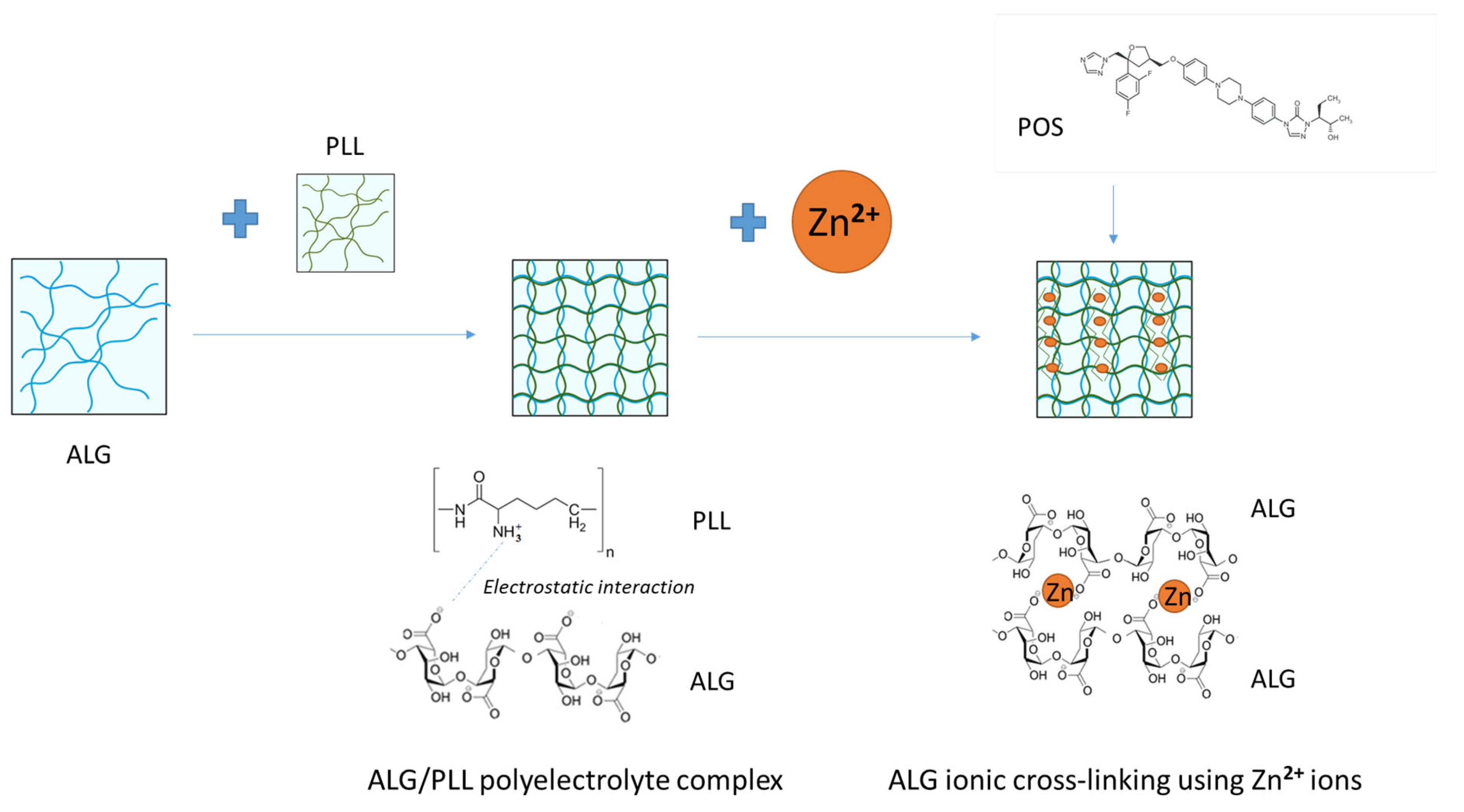 Pharmaceutics 17 01055 g001 Pharmaceutics 17 01055 g001