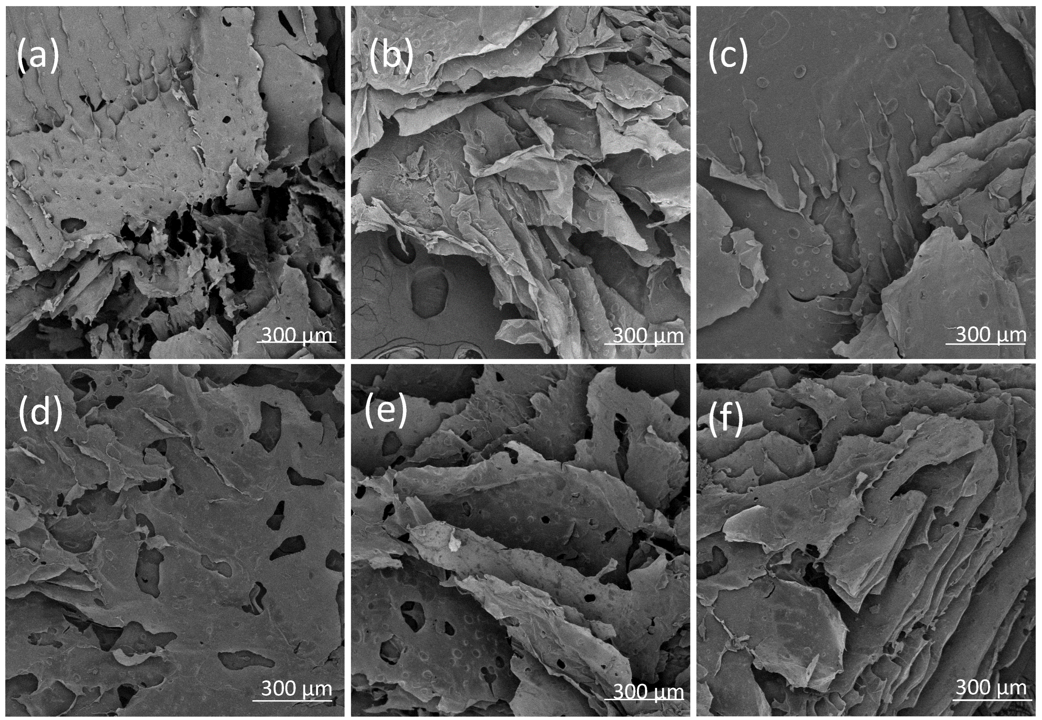 Pharmaceutics 17 01055 g006 Pharmaceutics 17 01055 g006