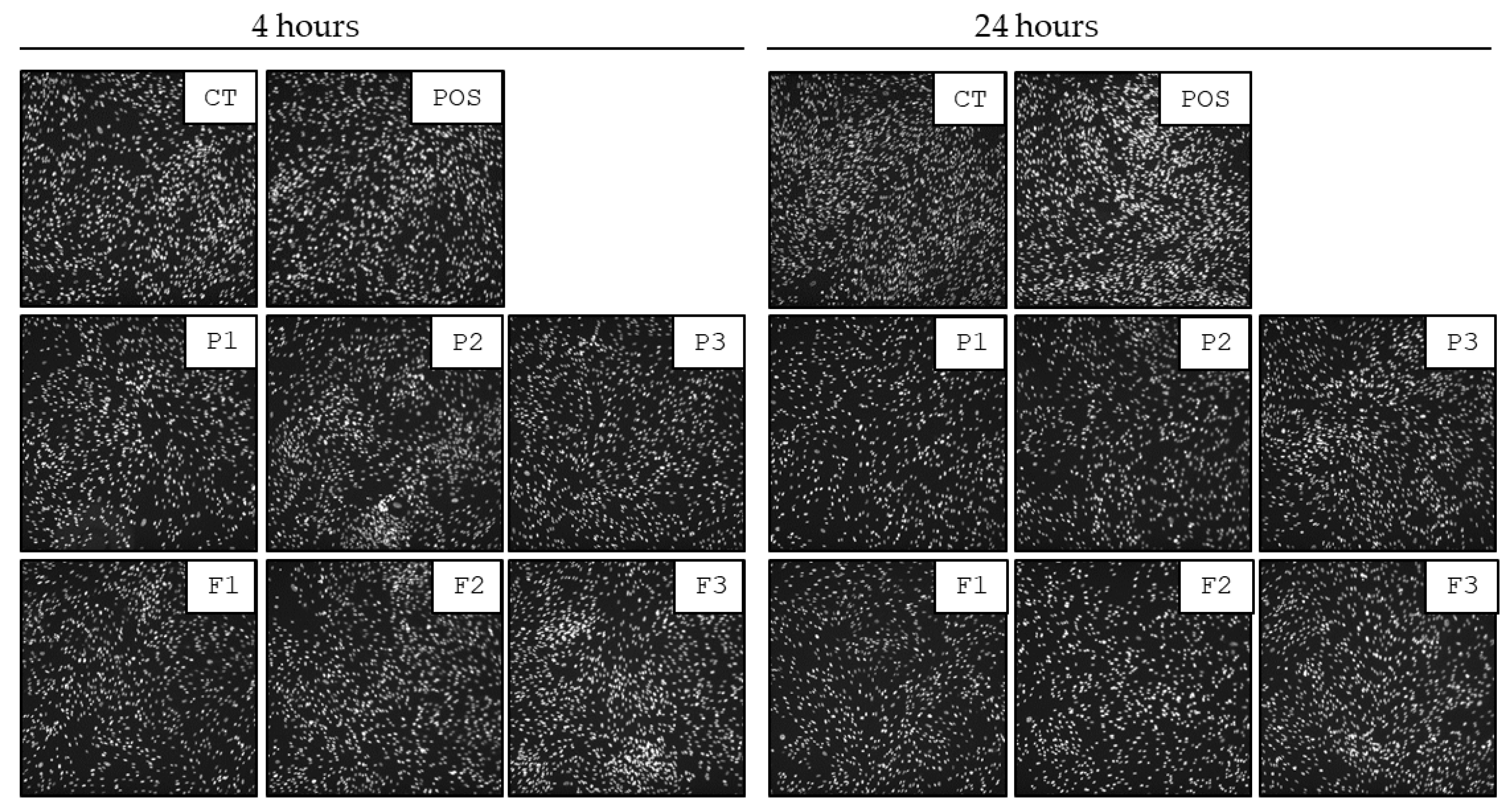 Pharmaceutics 17 01055 g017 Pharmaceutics 17 01055 g017