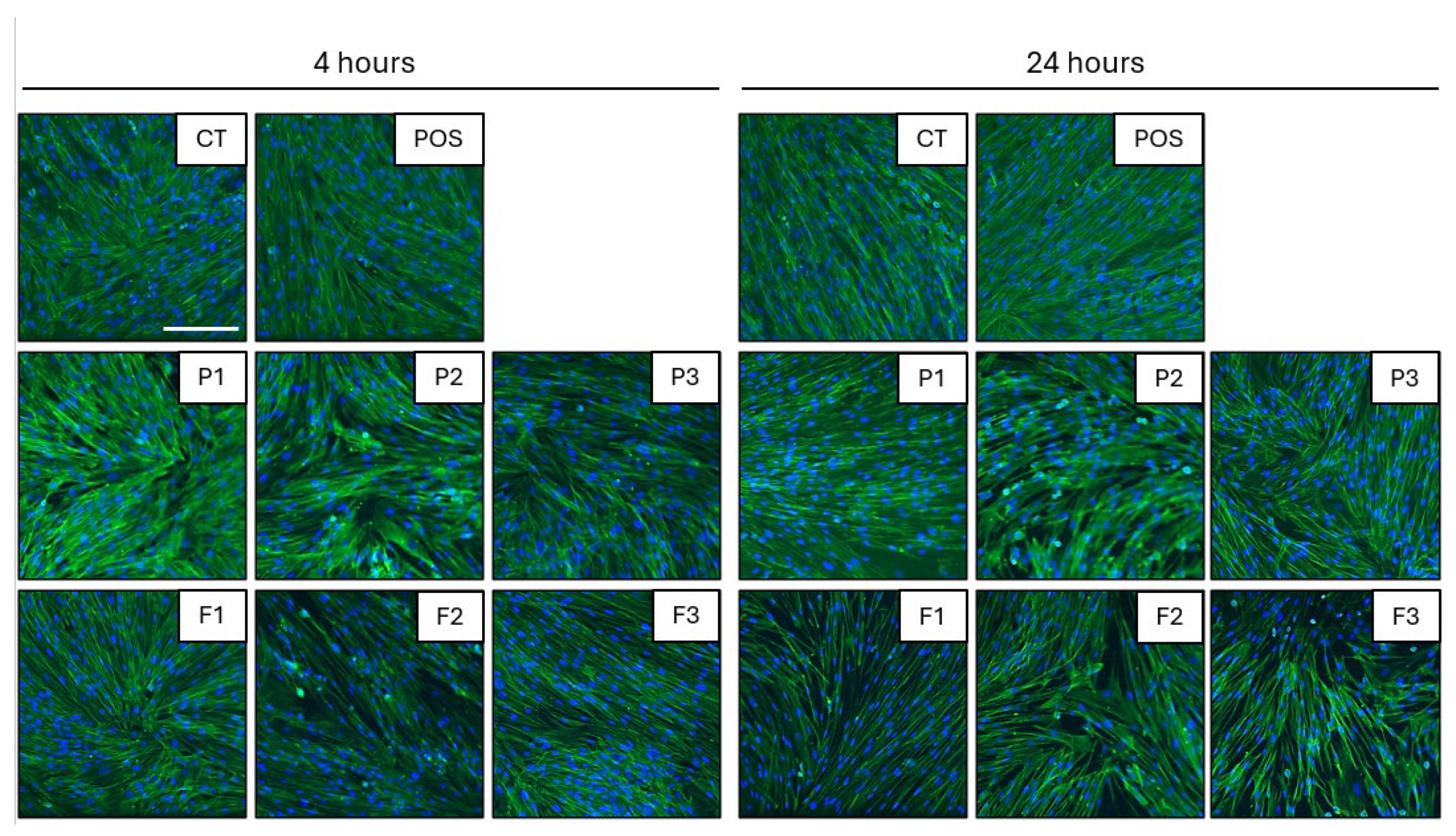 Pharmaceutics 17 01055 g018 Pharmaceutics 17 01055 g018