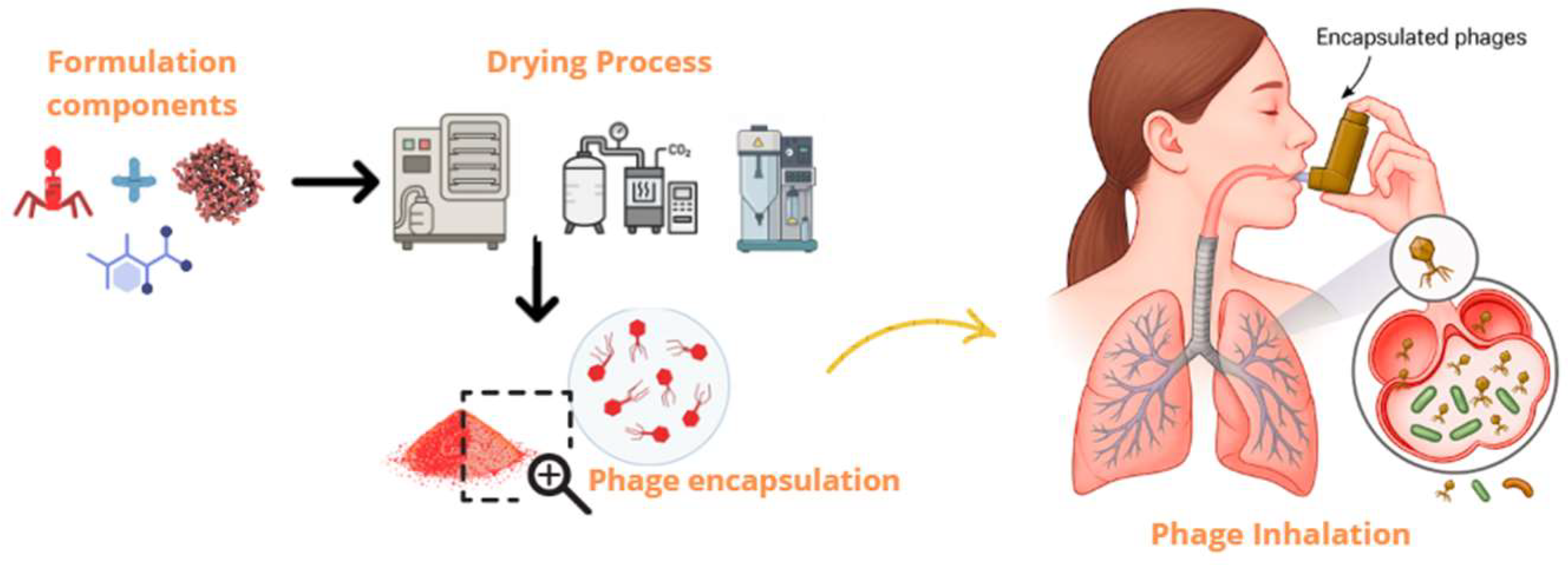 Pharmaceutics 17 01077 g002 Pharmaceutics 17 01077 g002